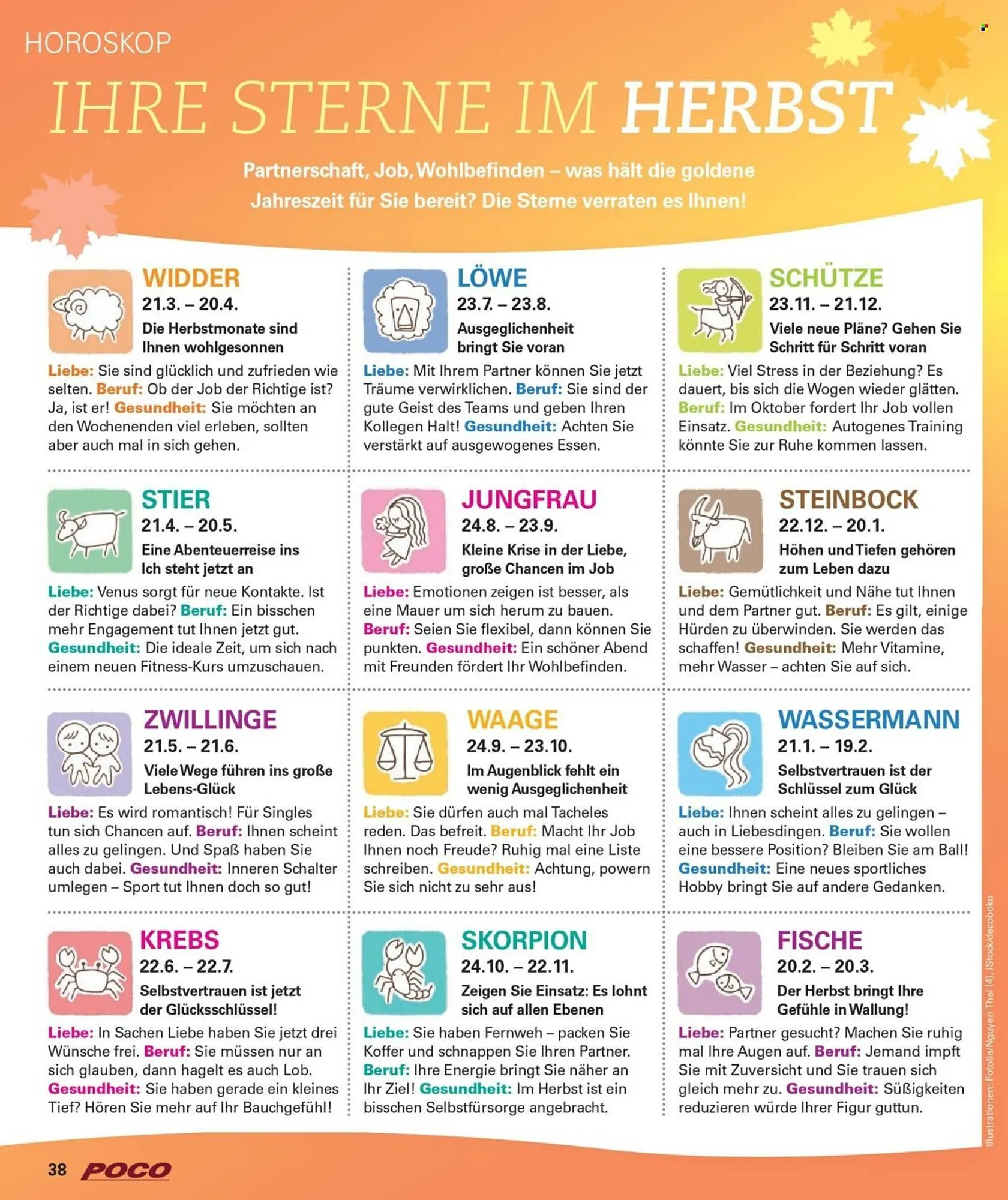 Poco Magazin von 1. September bis 30. November 2025 - Prospekt seite 38