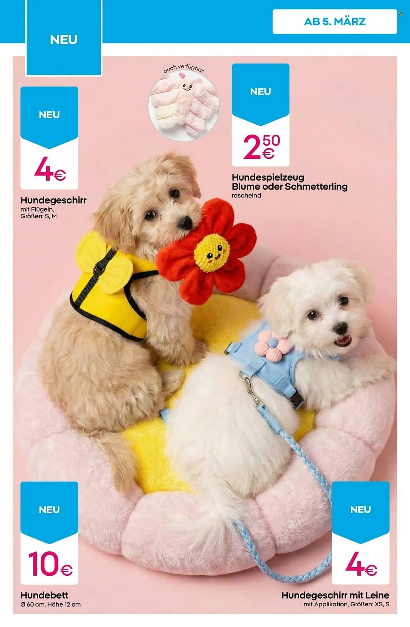 PEPCO Prospekt von 5. März bis 11. März 2026 - Prospekt seite 10