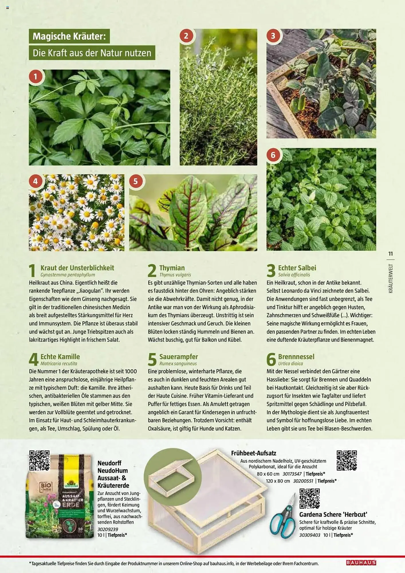 Bauhaus Prospekt von 20. Januar bis 30. Juni 2025 - Prospekt seite 11