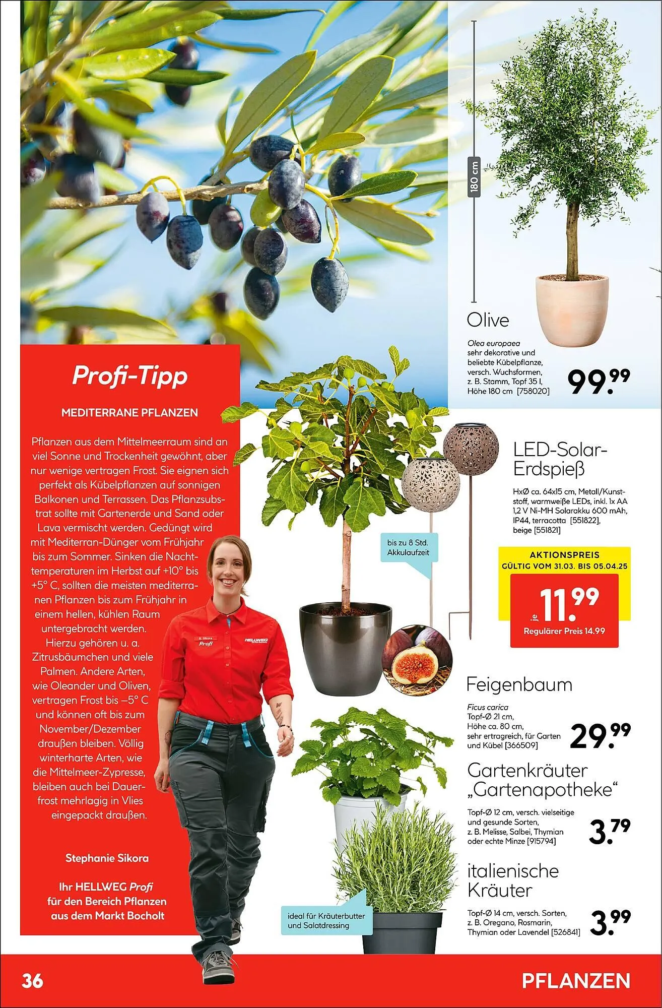 Hellweg Prospekt von 18. April bis 10. Mai 2025 - Prospekt seite 36