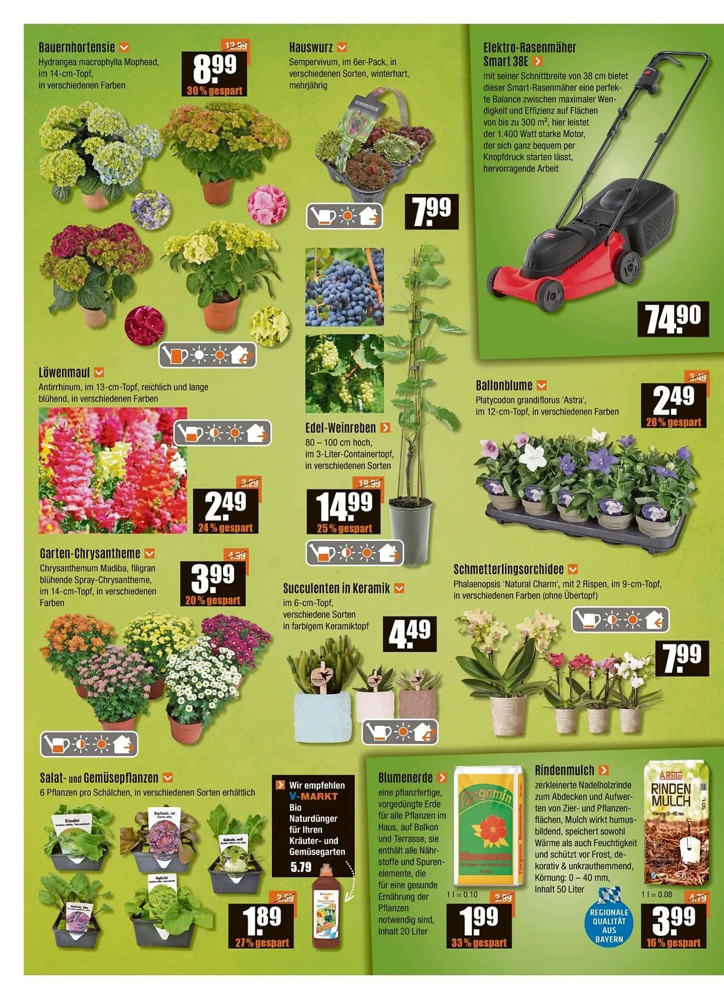 V Baumarkt Prospekt von 30. Mai bis 4. Juni 2025 - Prospekt seite 2