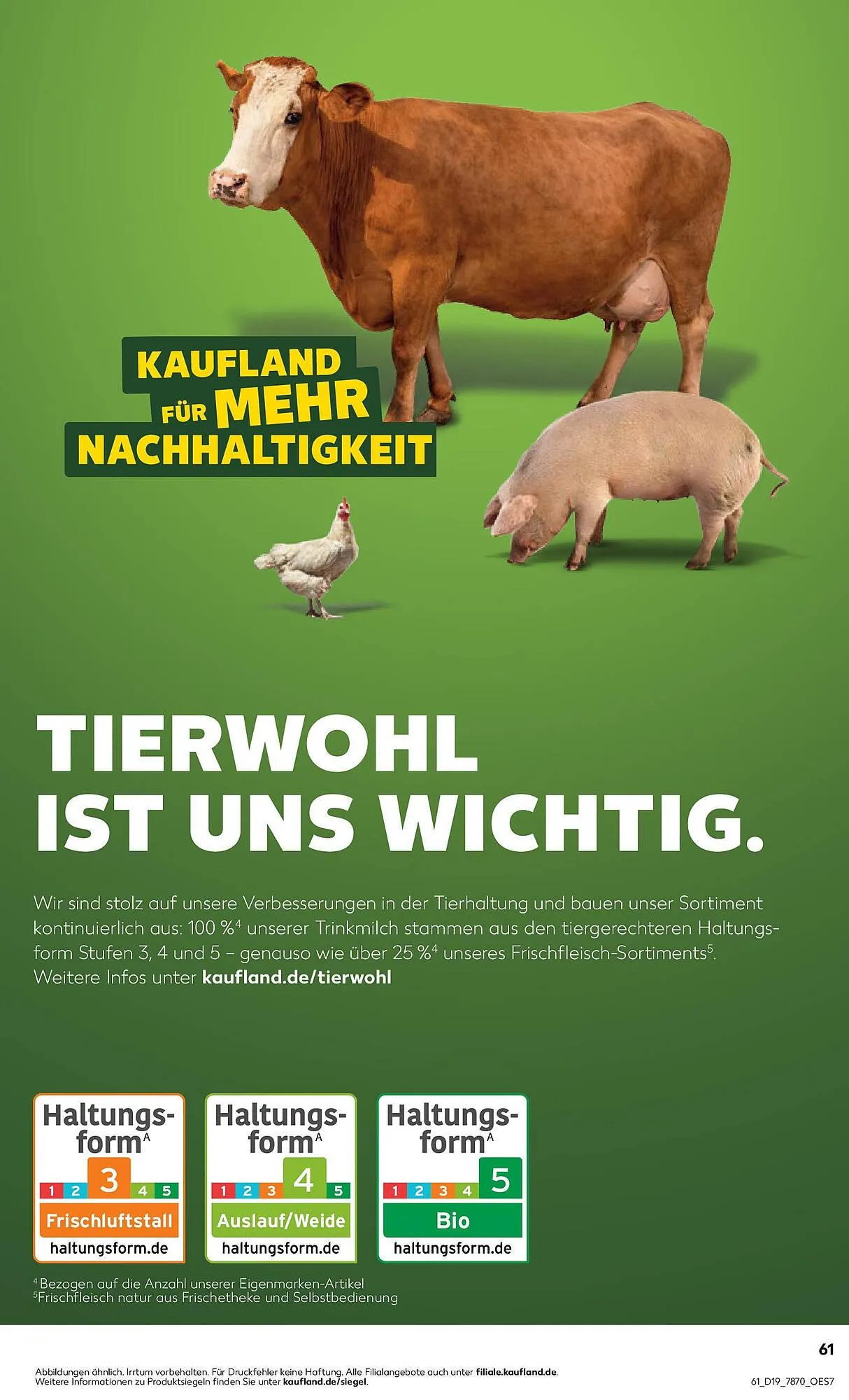 Kaufland Prospekt - Regio-Wochen von 7. Mai bis 14. Mai 2025 - Prospekt seite 61