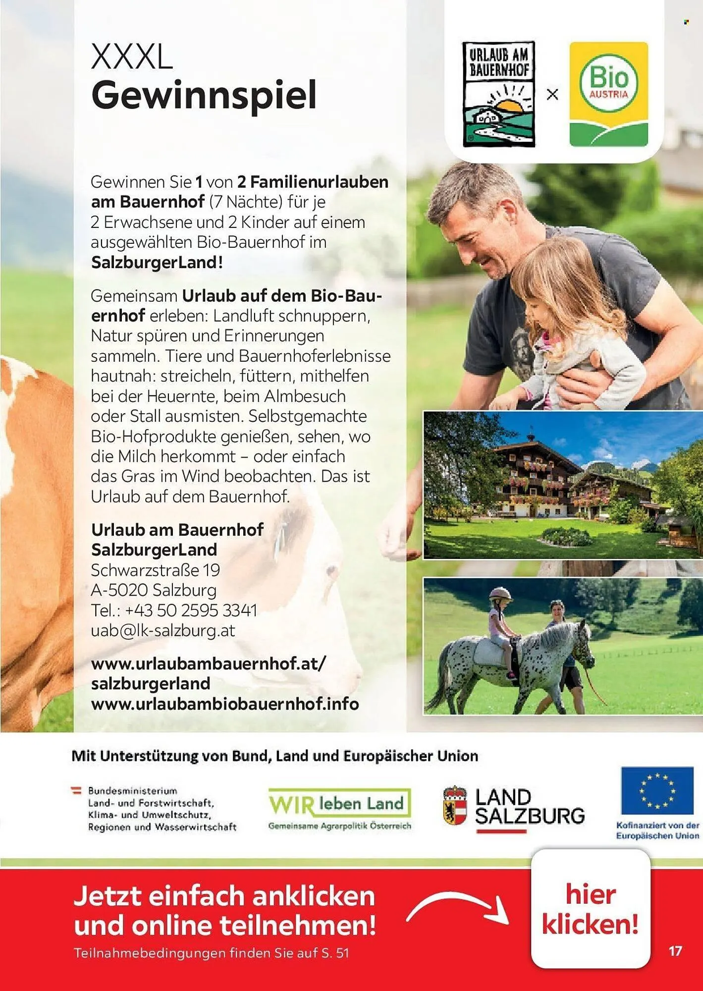 XXXLutz Prospekt von 1. August bis 31. Januar 2027 - Prospekt seite 17
