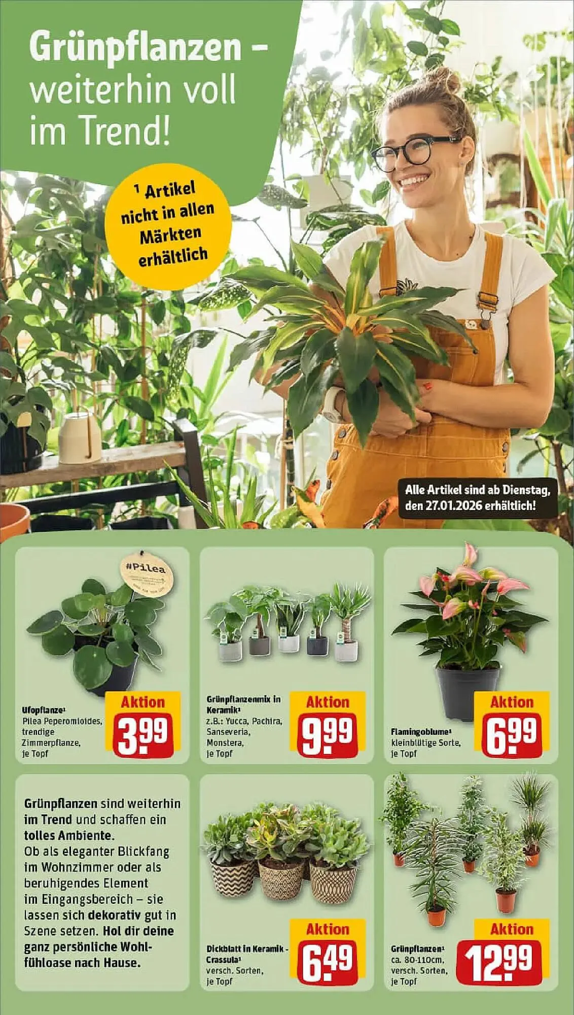 REWE Prospekt von 25. Januar bis 1. Februar 2026 - Prospekt seite 9