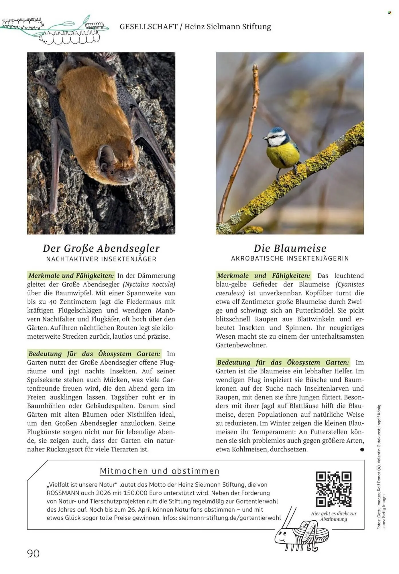 Rossmann Magazin von 1. März bis 31. März 2026 - Prospekt seite 90