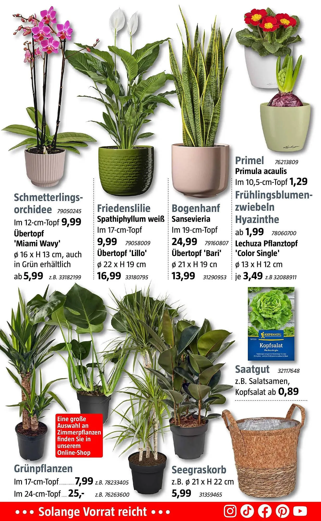 Bauhaus Prospekt von 2. Januar bis 18. Januar 2026 - Prospekt seite 11