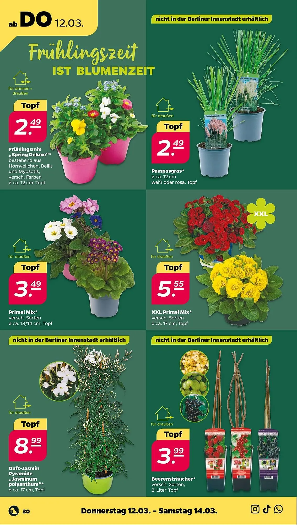 NETTO Prospekt von 9. März bis 14. März 2026 - Prospekt seite 36