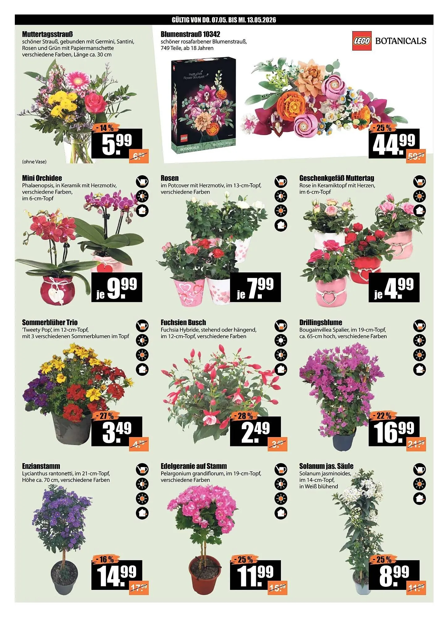 V Baumarkt Prospekt von 7. Mai bis 14. Mai 2026 - Prospekt seite 2