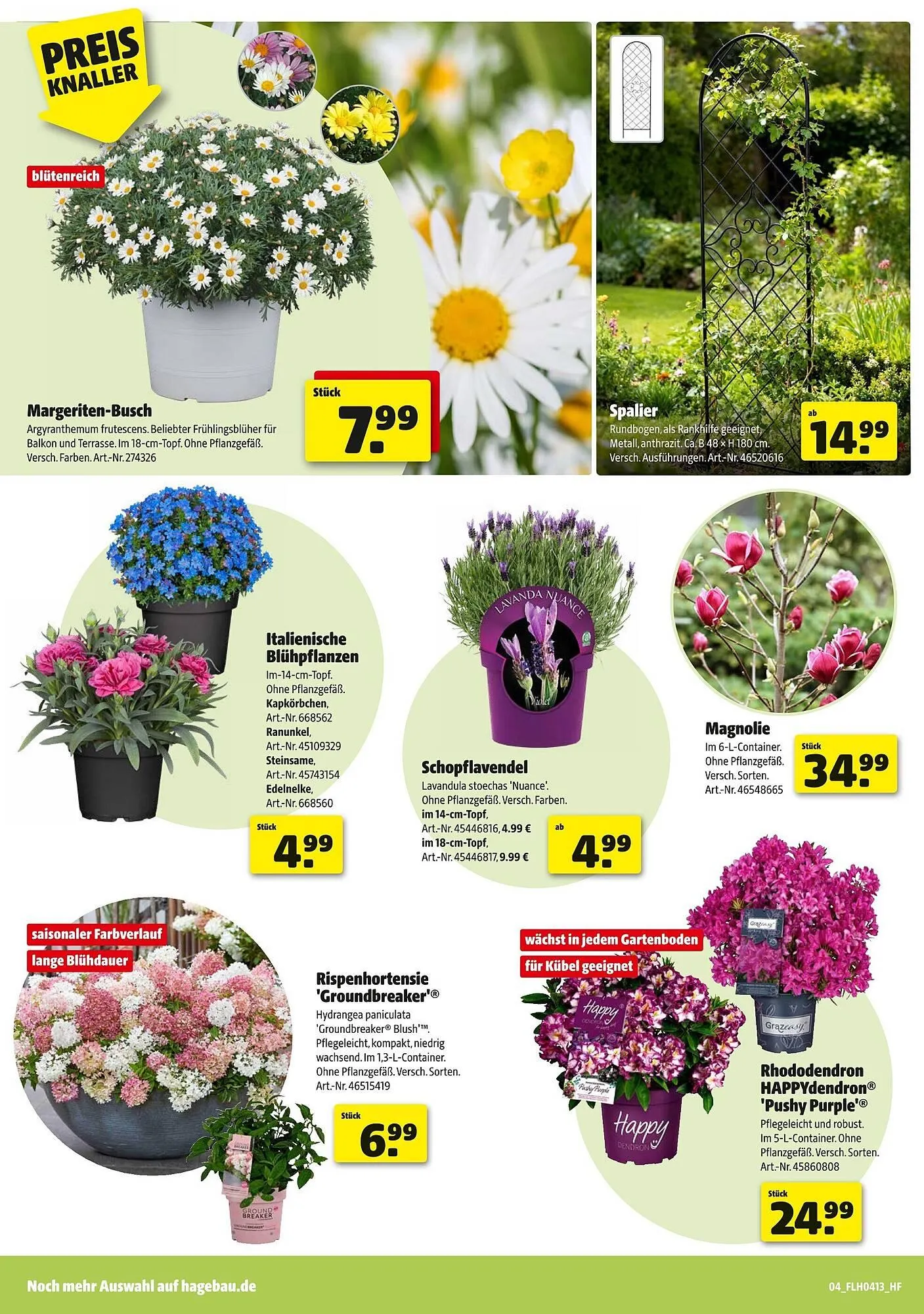 Hagebau Prospekt von 21. März bis 28. März 2026 - Prospekt seite 4