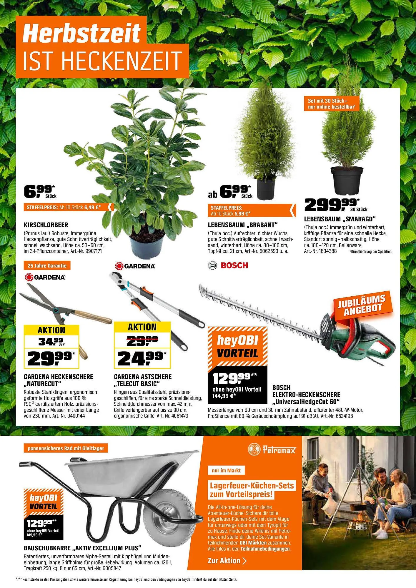 OBI Prospekt von 31. August bis 14. September 2025 - Prospekt seite 9