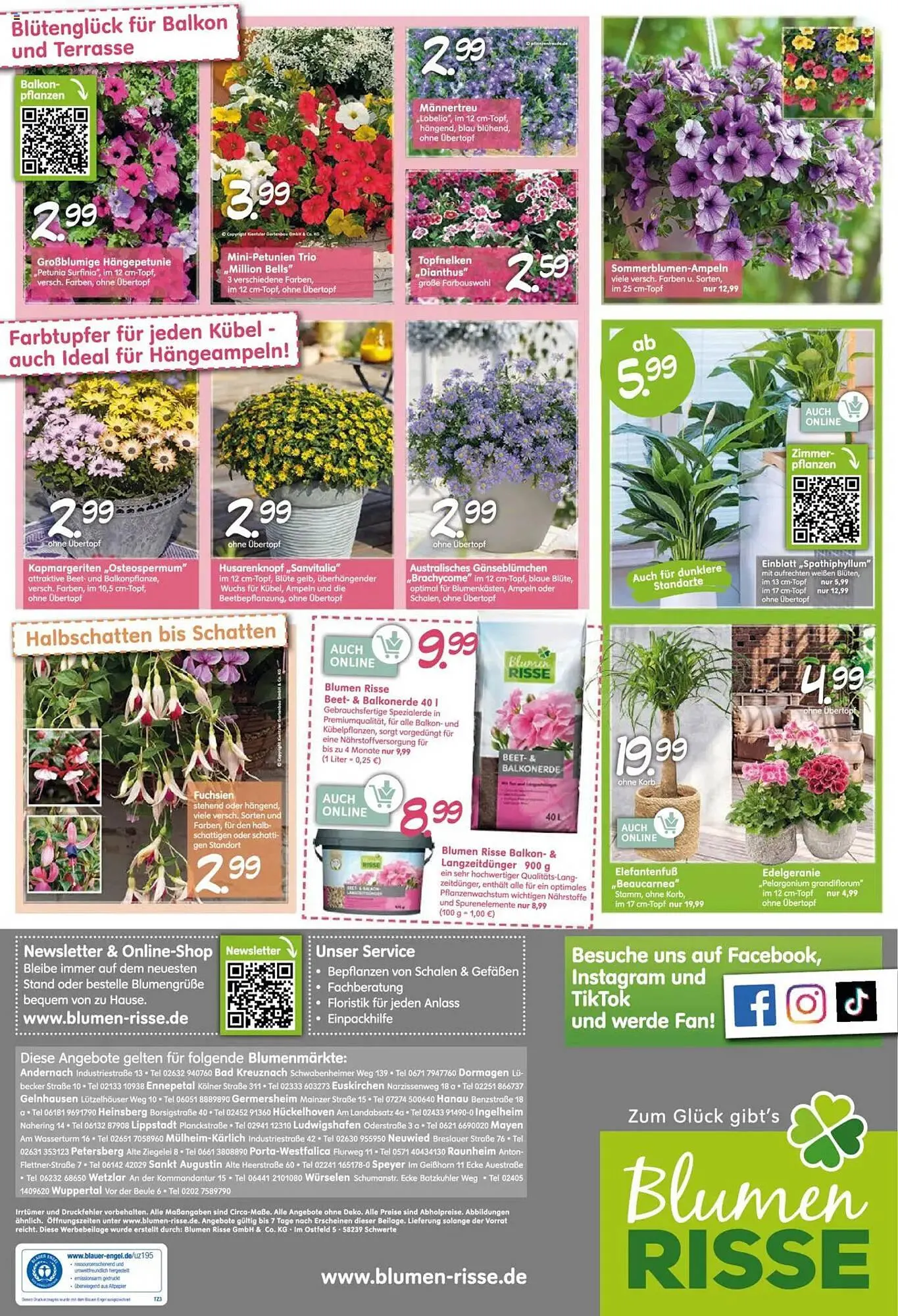 Blumen Risse Prospekt von 26. April bis 7. Mai 2025 - Prospekt seite 8
