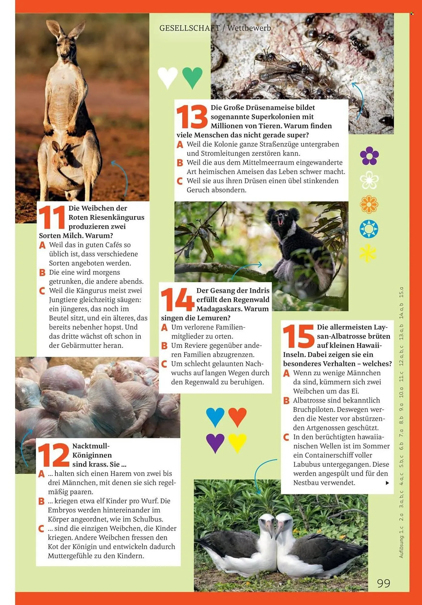 Rossmann Magazin von 1. April bis 30. April 2026 - Prospekt seite 99