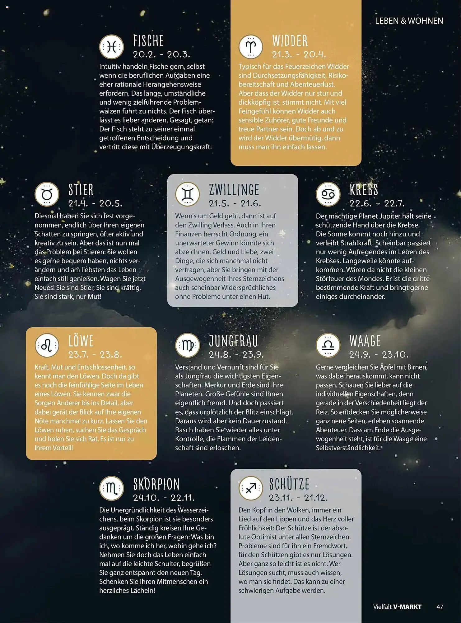 V Markt Prospekt von 2. Januar bis 7. Januar 2026 - Prospekt seite 47