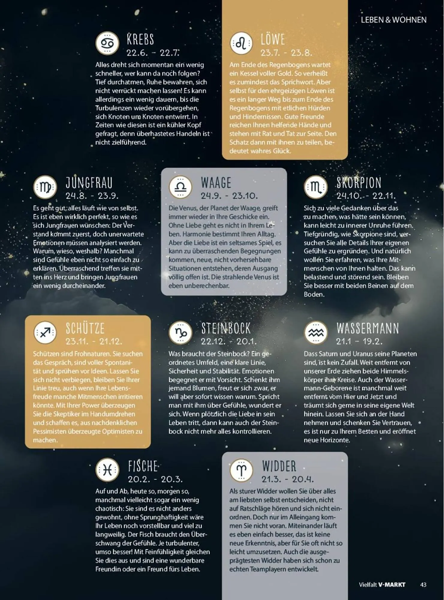 V Markt Prospekt von 8. Mai bis 30. Juni 2025 - Prospekt seite 43