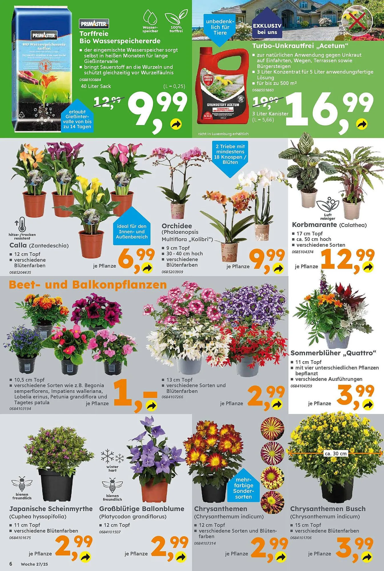 Globus Baumarkt Prospekt von 30. Juni bis 5. Juli 2025 - Prospekt seite 6