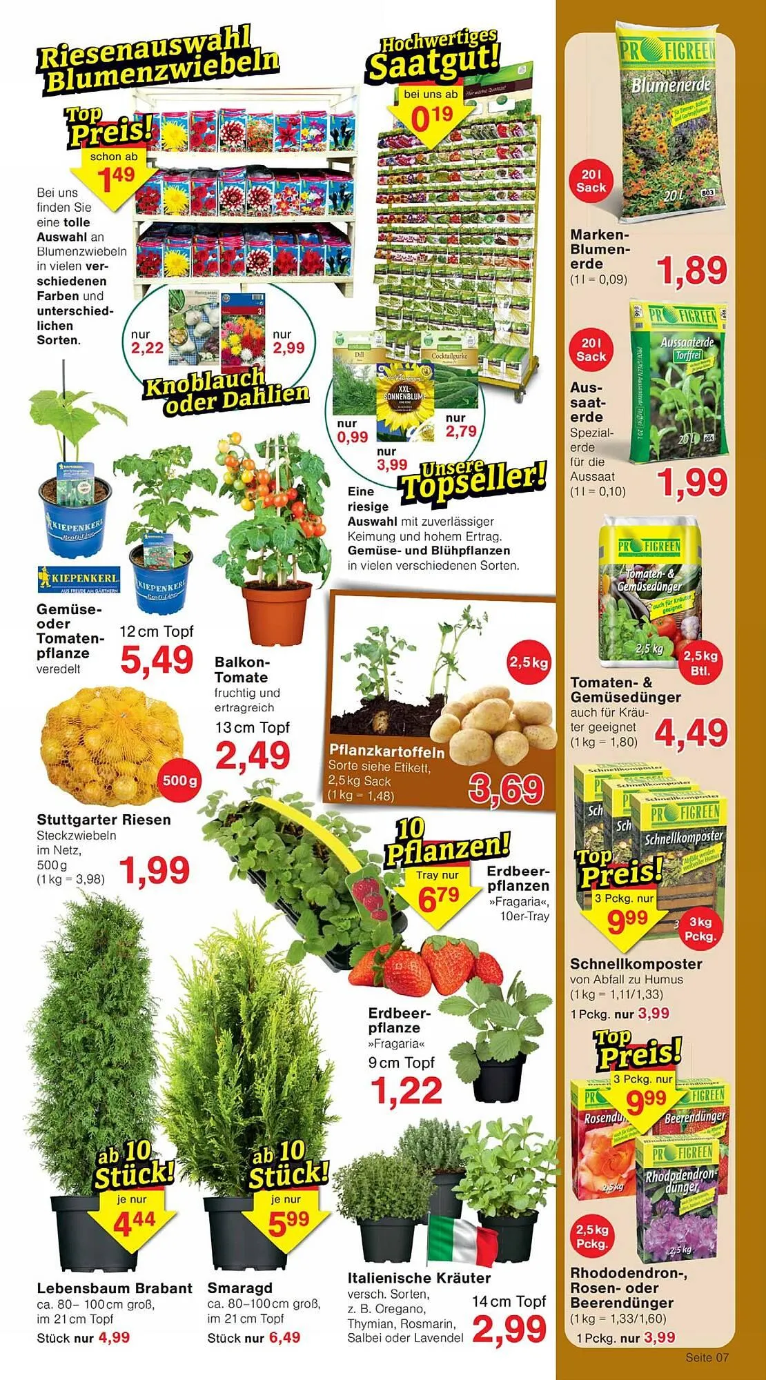 Wiglo Wunderland Prospekt von 30. März bis 4. April 2026 - Prospekt seite 11