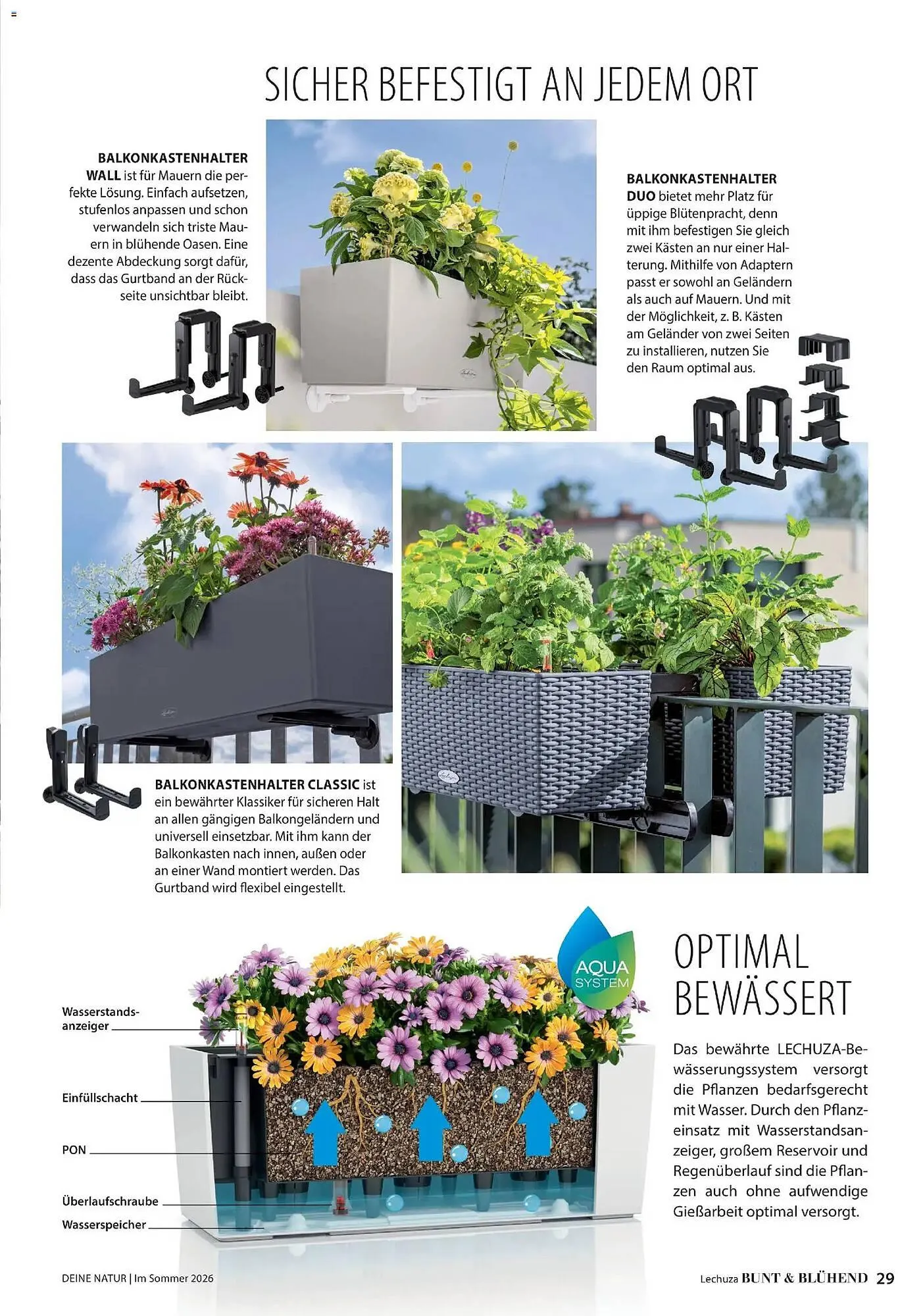 Dehner Prospekt von 17. April bis 31. August 2026 - Prospekt seite 29