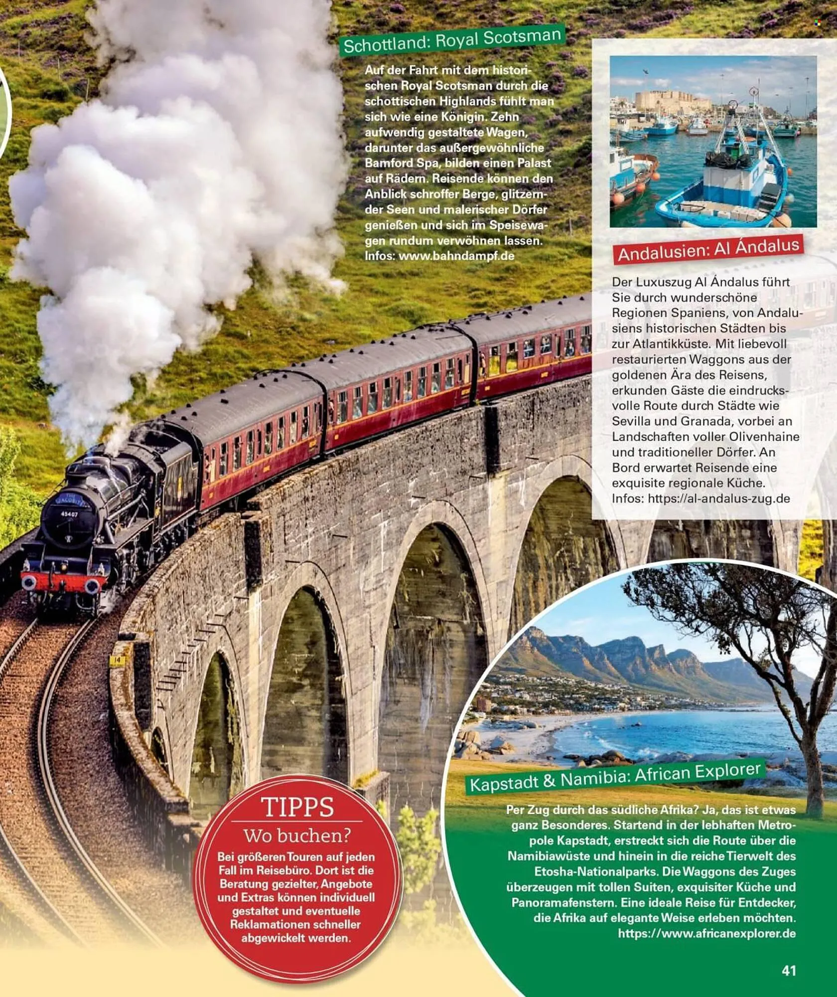 Poco Magazin von 1. September bis 30. November 2025 - Prospekt seite 41