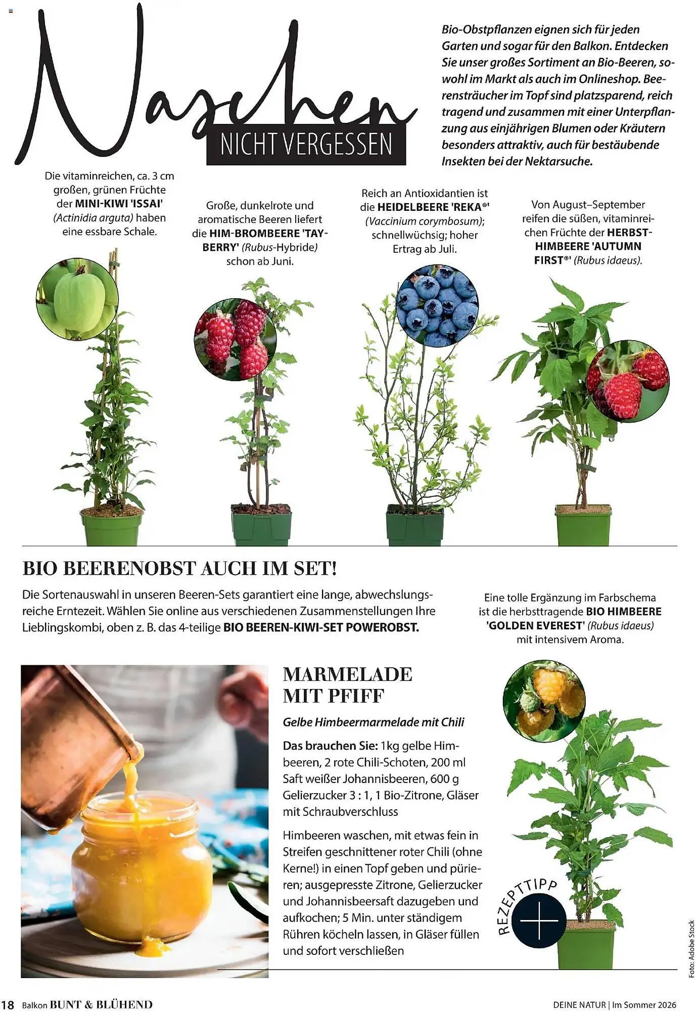 Dehner Prospekt von 17. April bis 31. August 2026 - Prospekt seite 18