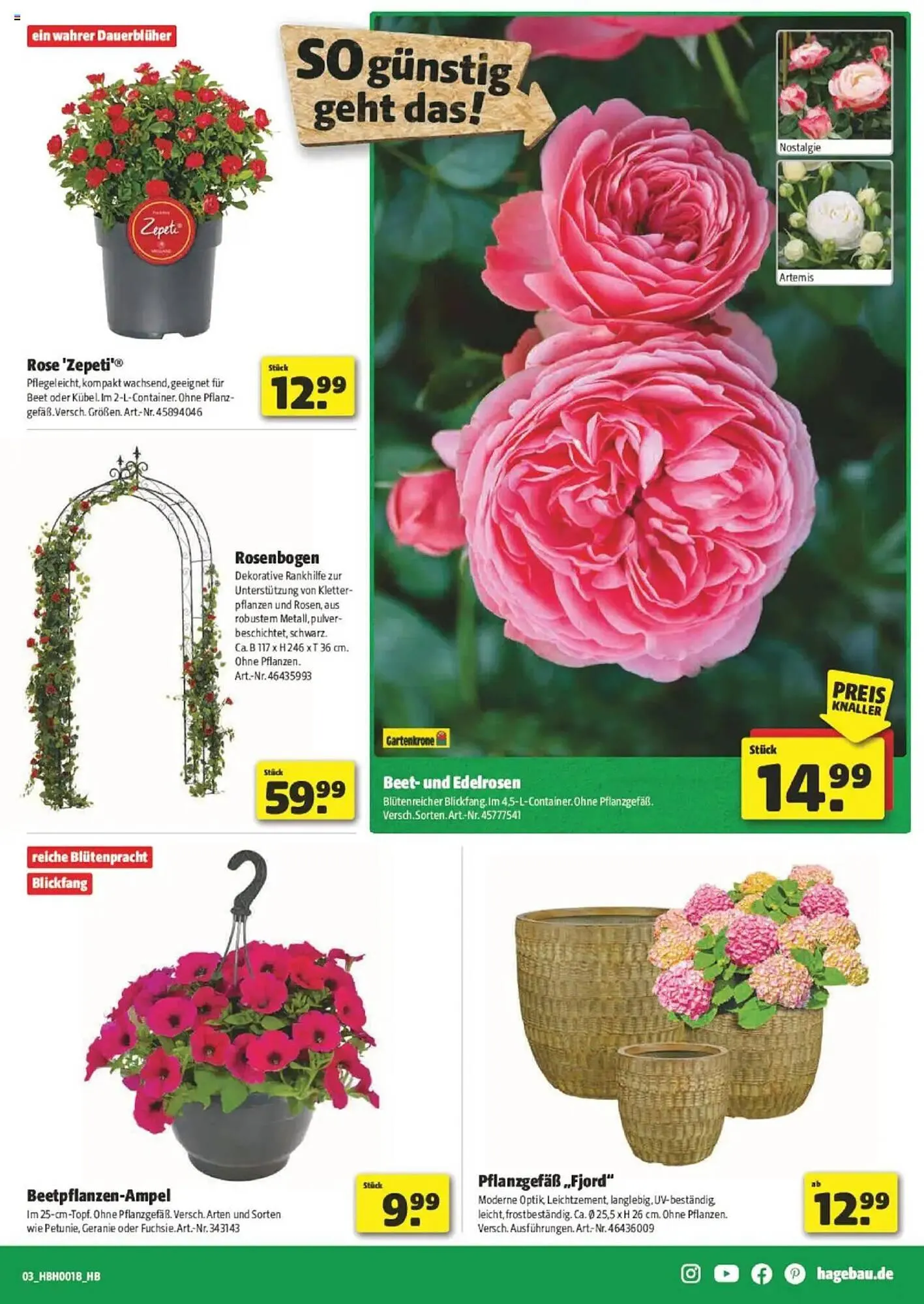 Hagebau Prospekt von 26. April bis 3. Mai 2025 - Prospekt seite 3