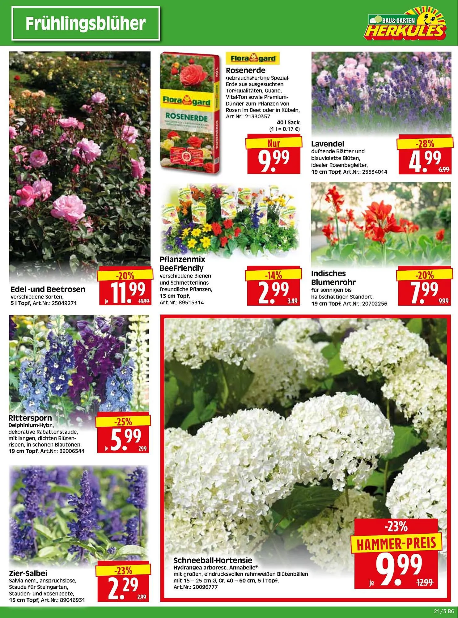 Herkules Baumarkt Prospekt von 19. Mai bis 24. Mai 2025 - Prospekt seite 3