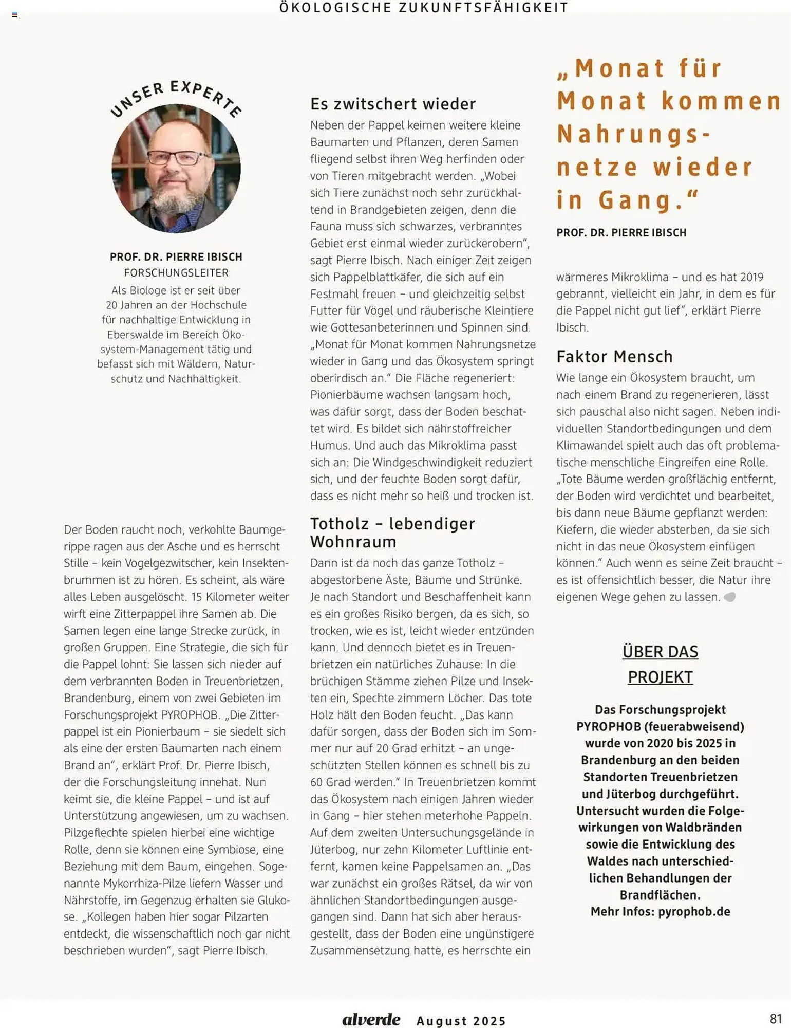 dm drogerie Prospekt von 1. August bis 31. August 2025 - Prospekt seite 81