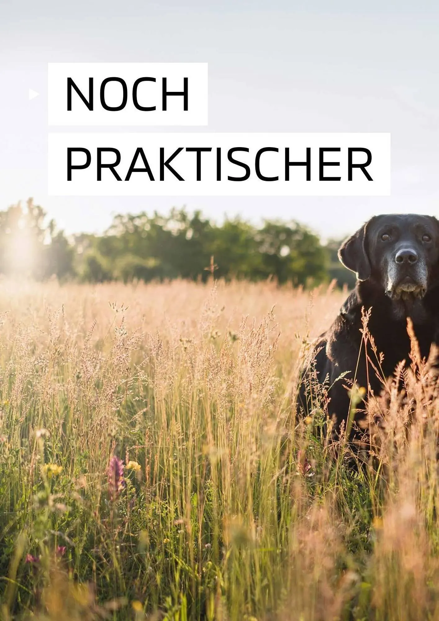 Mitsubishi Prospekt von 23. September bis 23. September 2026 - Prospekt seite 24