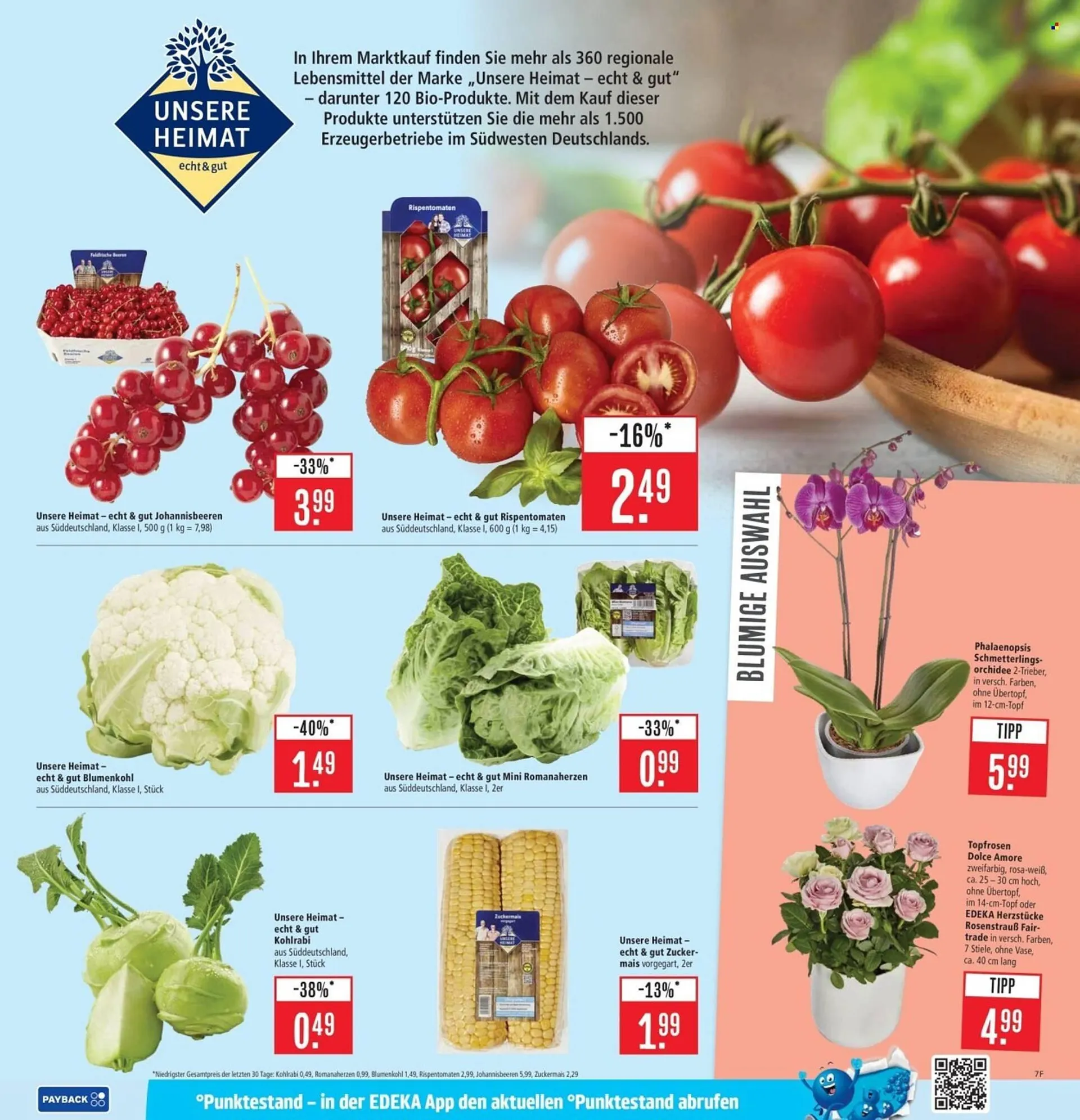 Marktkauf Prospekt von 30. Juni bis 5. Juli 2025 - Prospekt seite 7