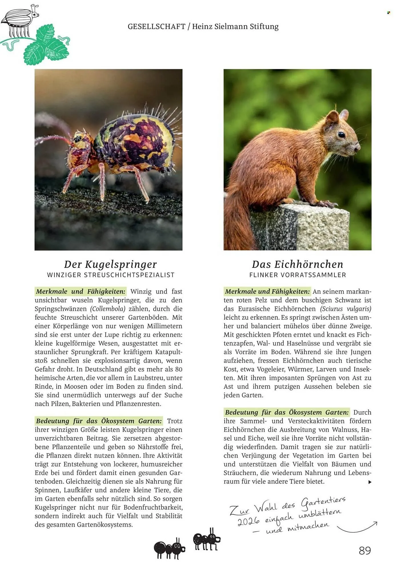 Rossmann Magazin von 1. März bis 31. März 2026 - Prospekt seite 89