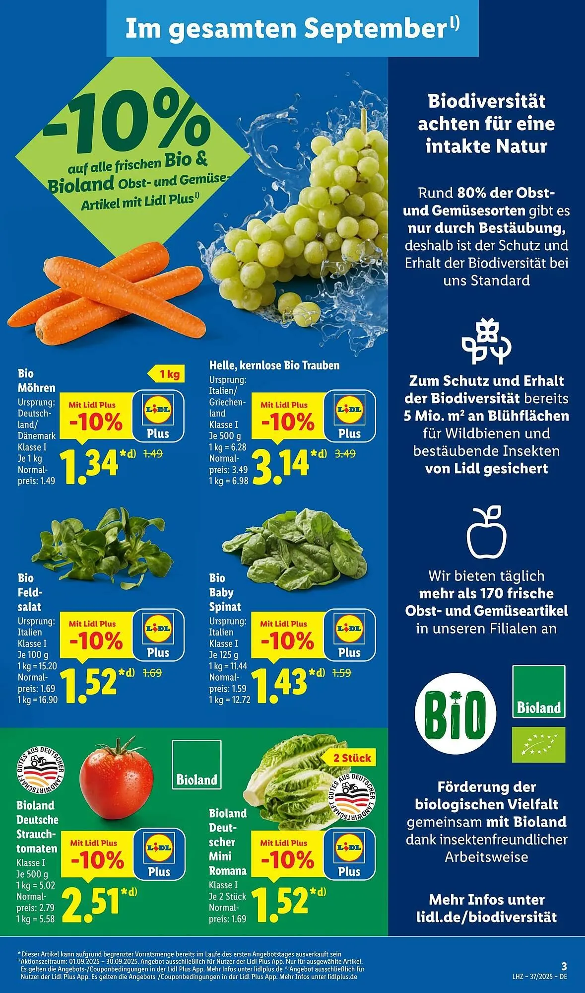 Lidl Prospekt von 8. September bis 14. September 2025 - Prospekt seite 3
