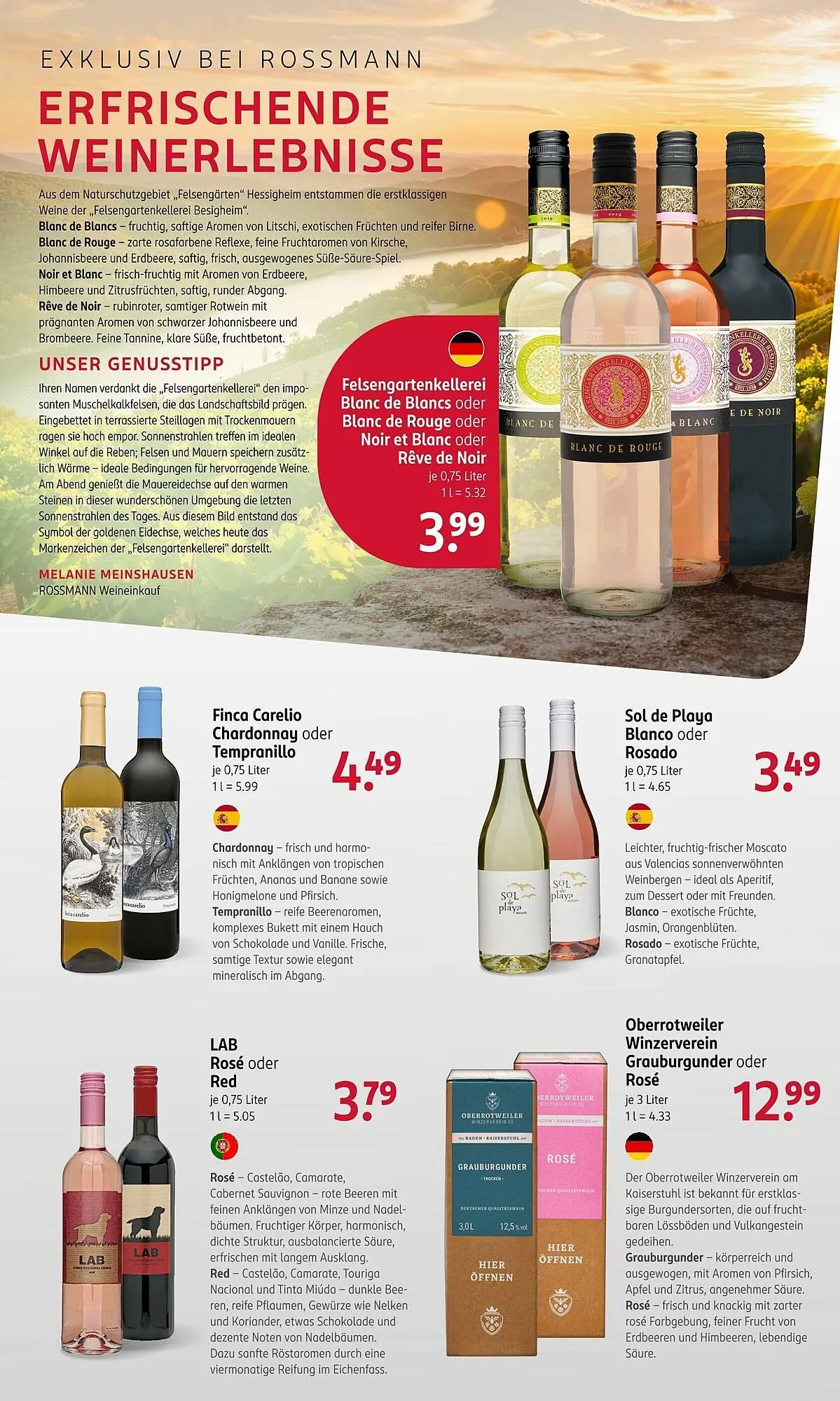 Rossmann Prospekt von 14. Juli bis 18. Juli 2025 - Prospekt seite 19