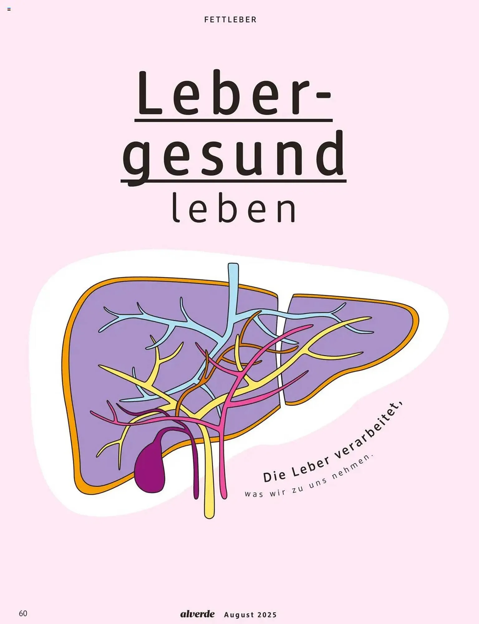 dm drogerie Prospekt von 1. August bis 31. August 2025 - Prospekt seite 60