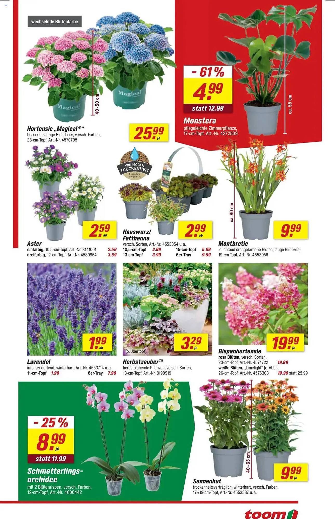 toom Baumarkt Prospekt von 2. August bis 8. August 2025 - Prospekt seite 3