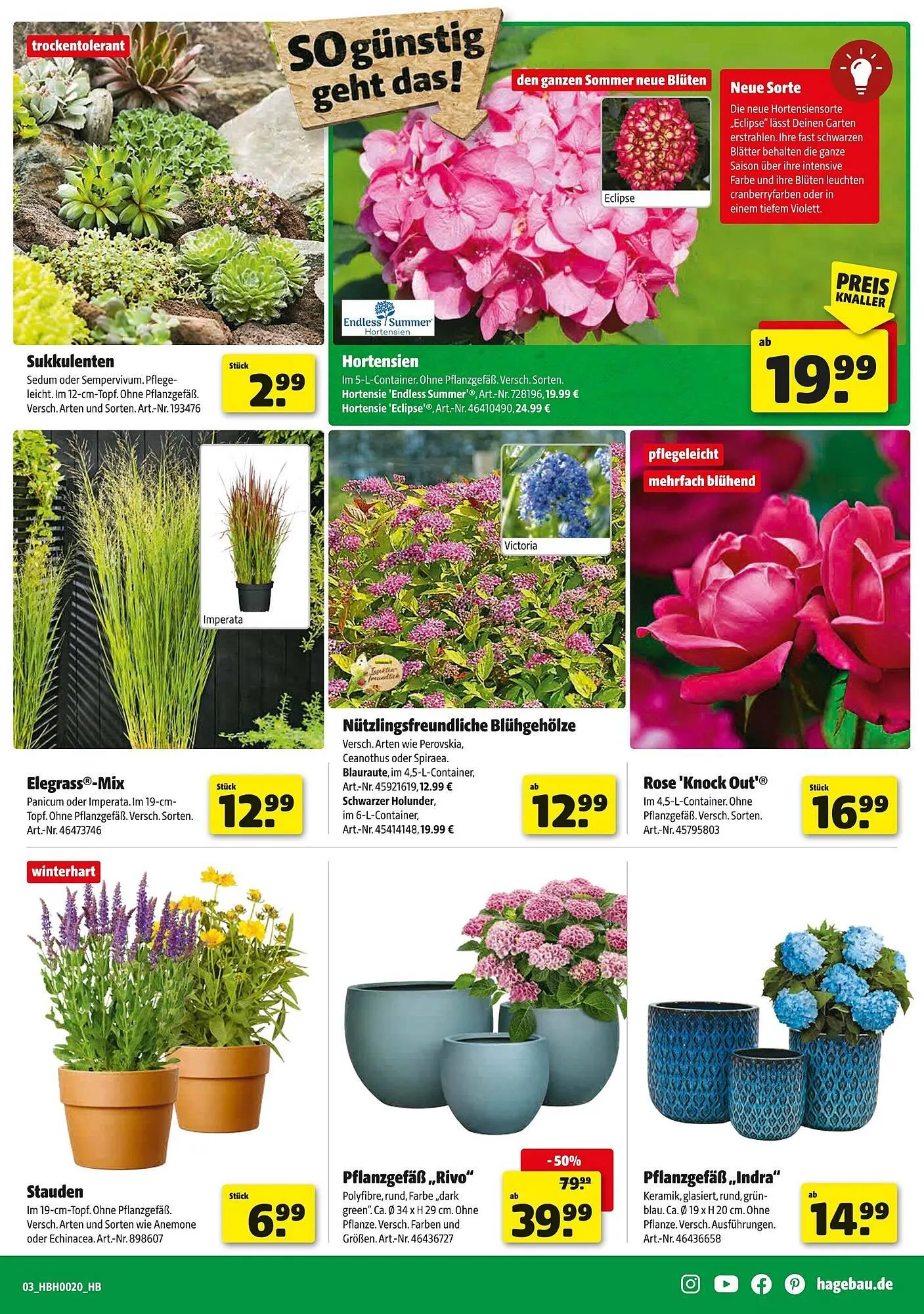 Hagebau Prospekt von 10. Mai bis 17. Mai 2025 - Prospekt seite 3