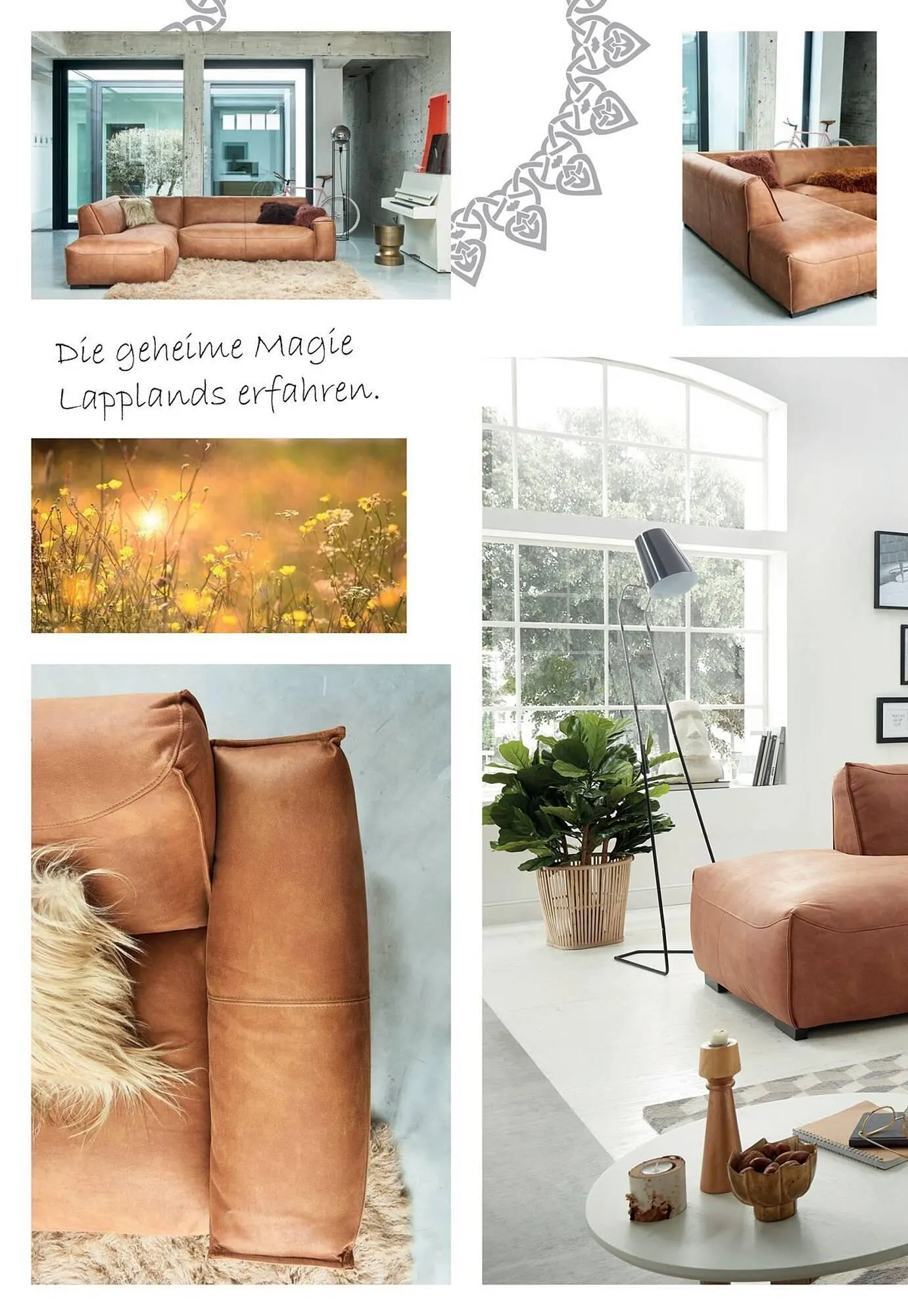 Multipolster Prospekt von 25. Juni bis 21. Juli 2025 - Prospekt seite 14