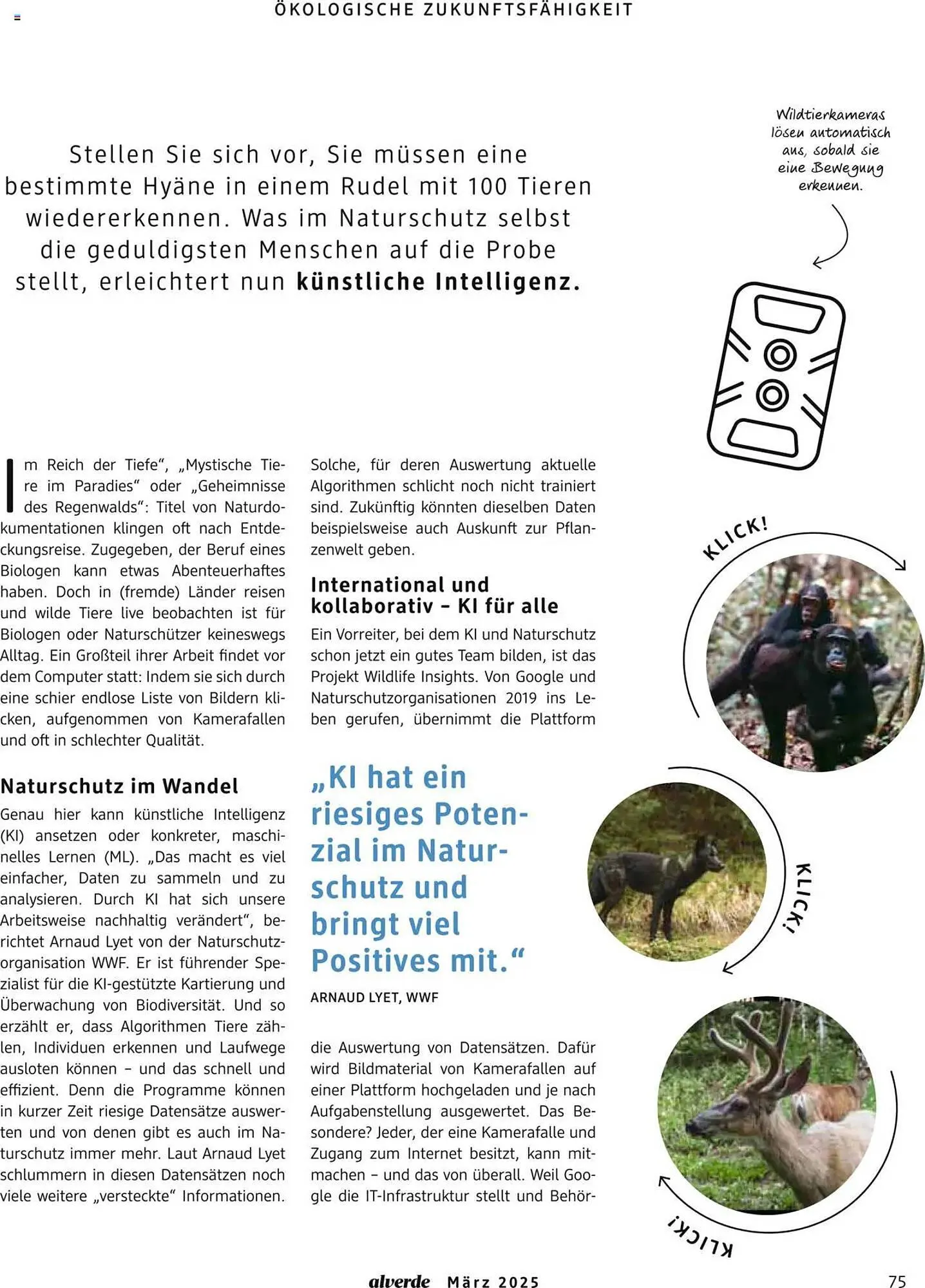 dm drogerie Prospekt von 1. März bis 31. März 2025 - Prospekt seite 75