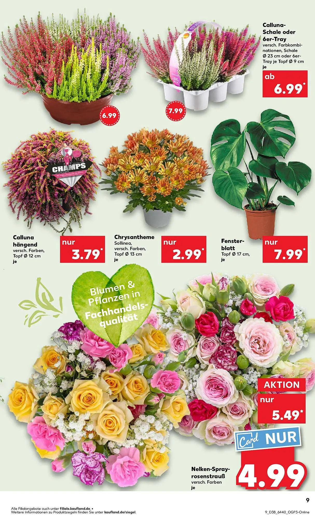 Kaufland Prospekt von 21. September bis 24. September 2025 - Prospekt seite 9