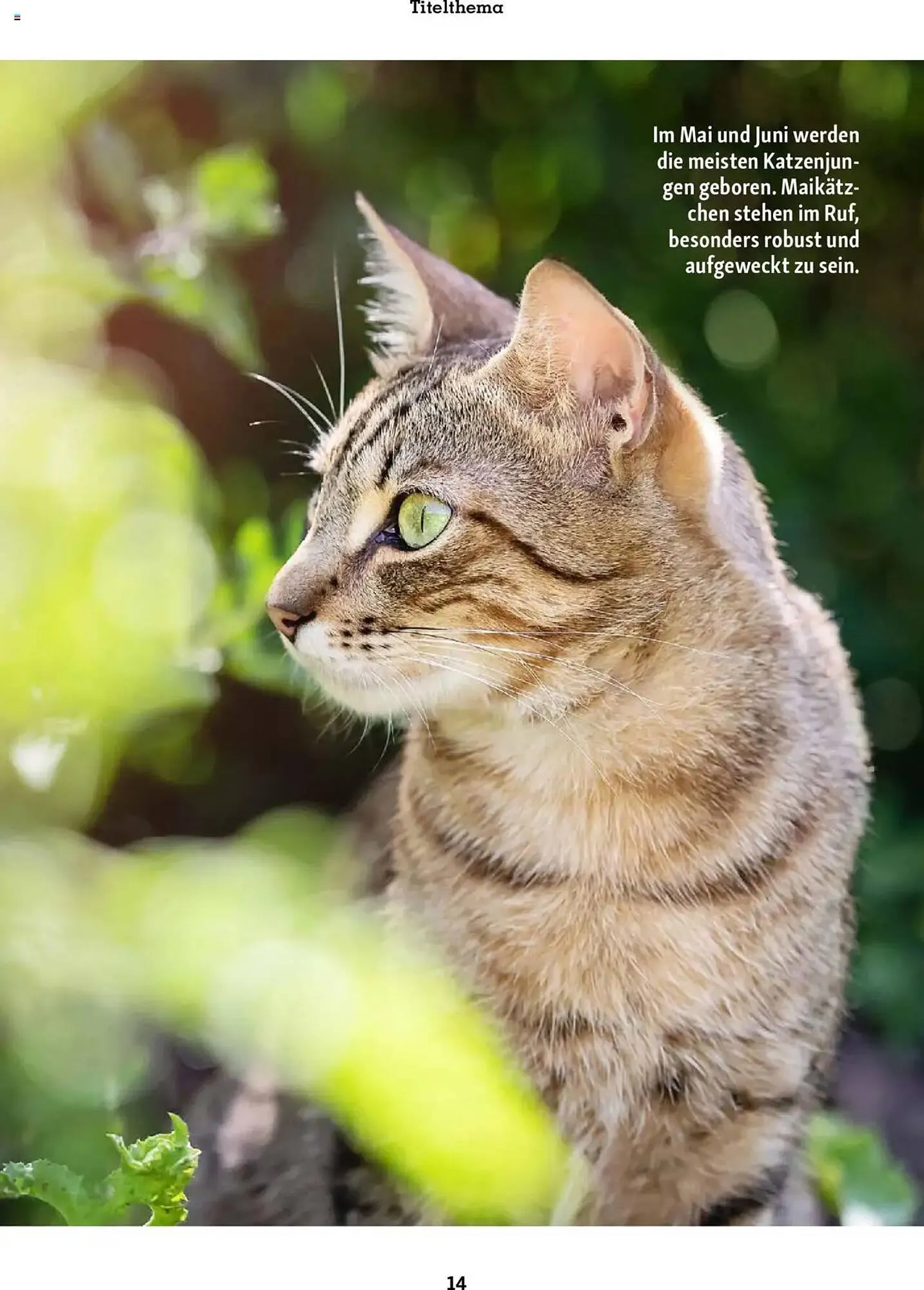 Fressnapf Prospekt von 1. Mai bis 30. Juni 2025 - Prospekt seite 14