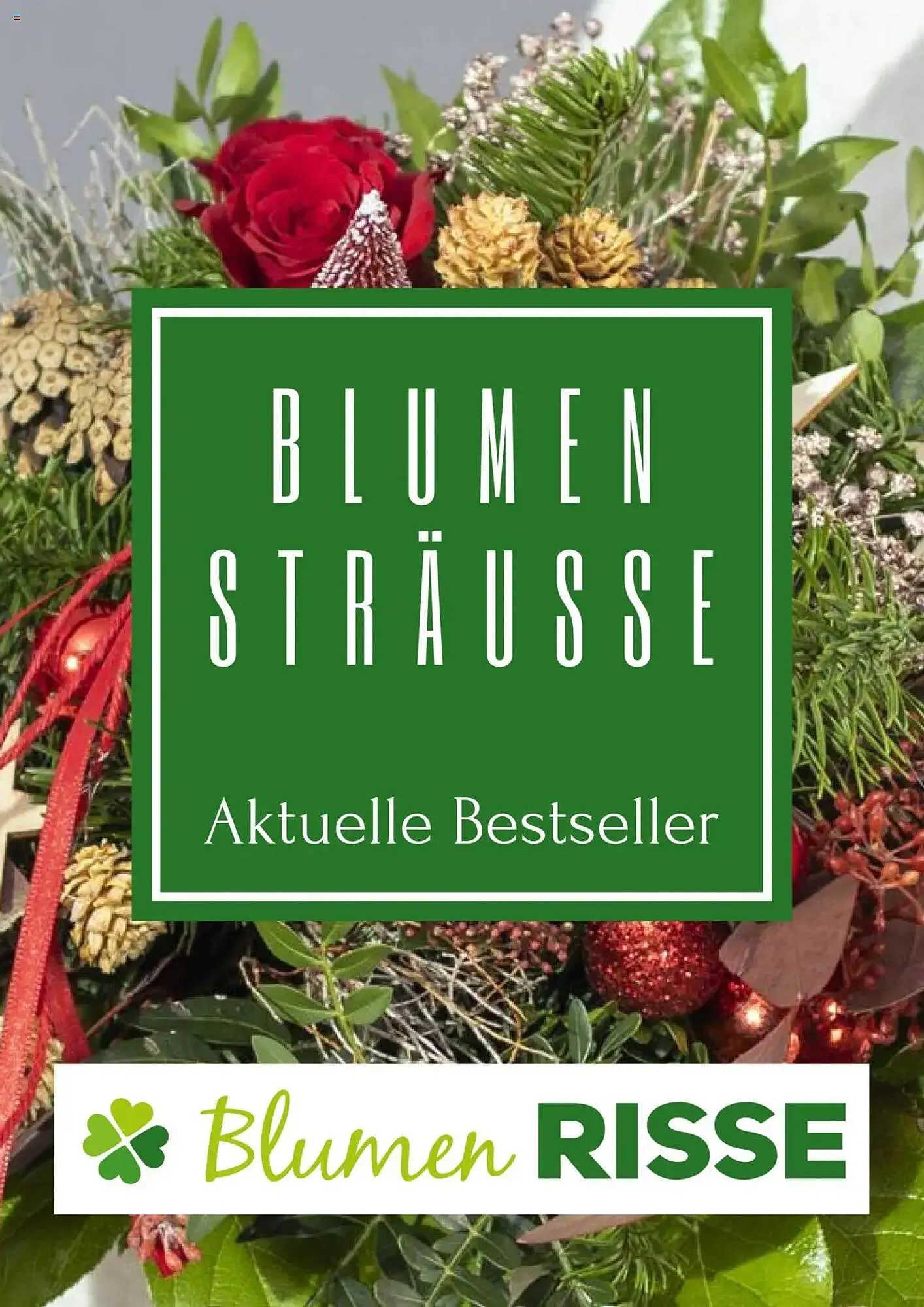 Blumen Risse Prospekt - 1