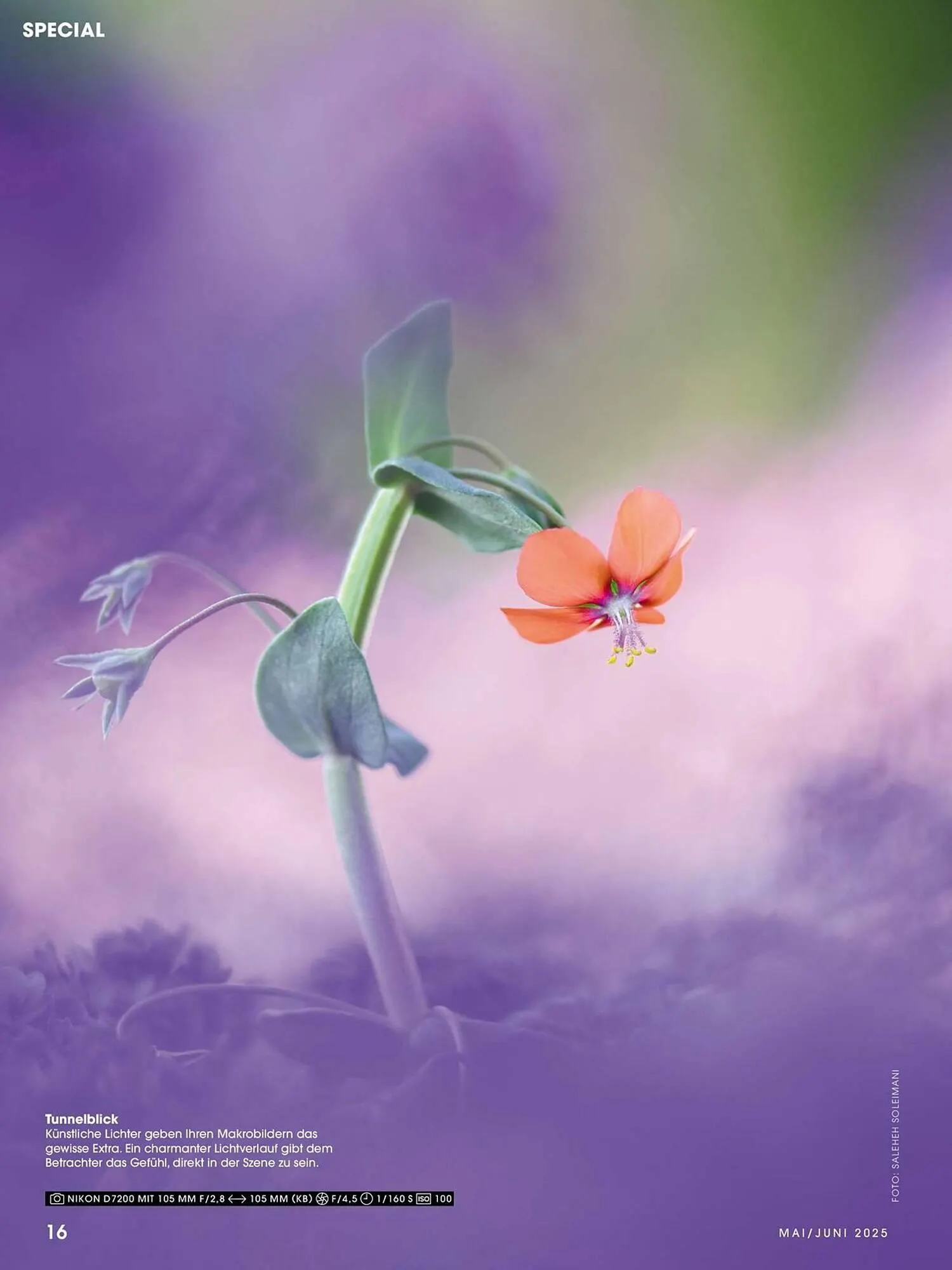 Ringfoto Prospekt von 22. Mai bis 30. Juni 2025 - Prospekt seite 16