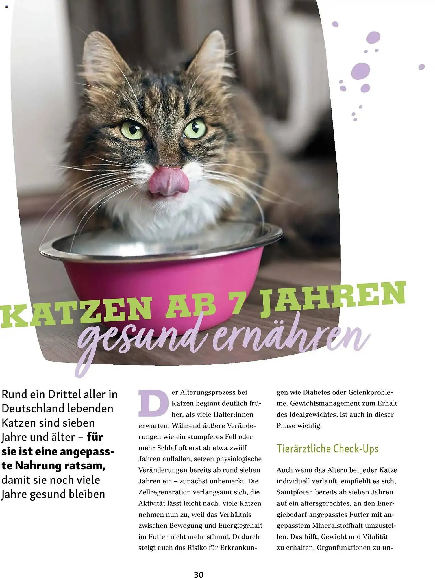 Fressnapf Magazin von 2. März bis 30. April 2026 - Prospekt seite 30