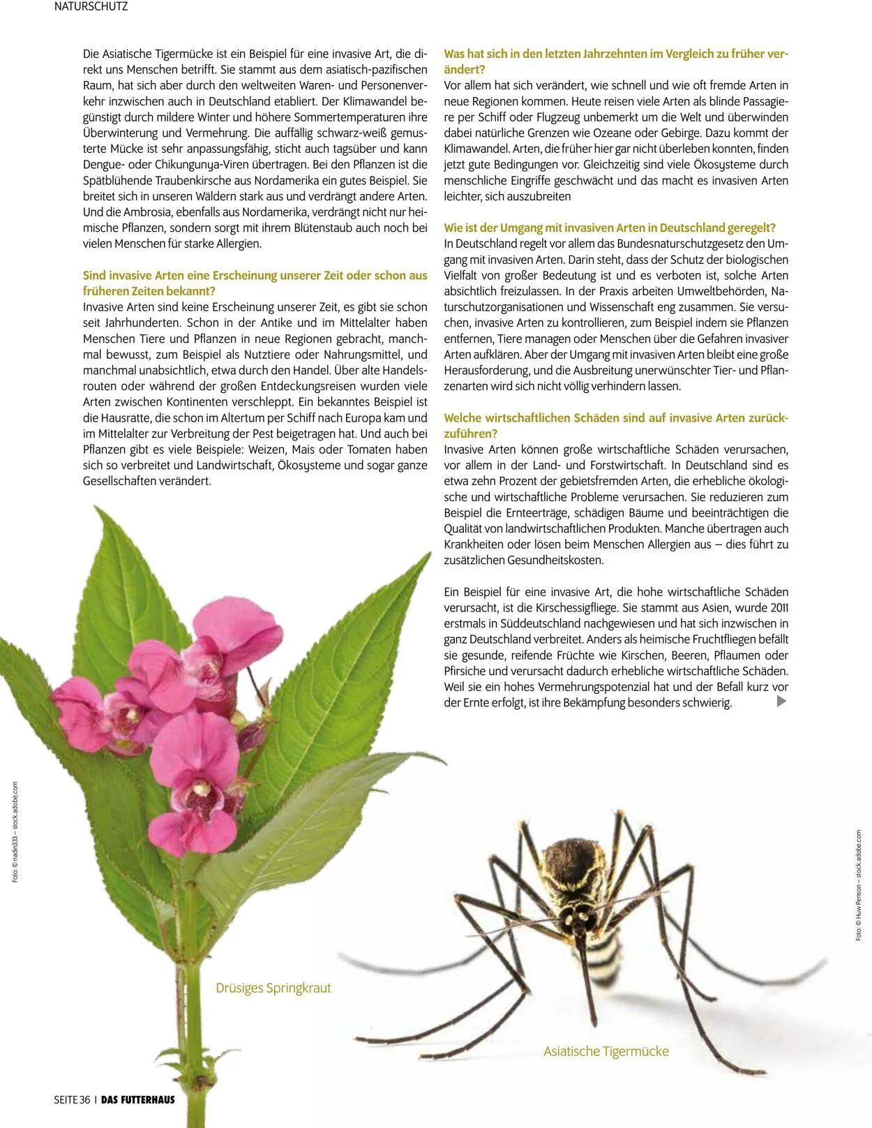 Futterhaus Aktueller Prospekt von 1. Oktober bis 31. Oktober 2025 - Prospekt seite 36