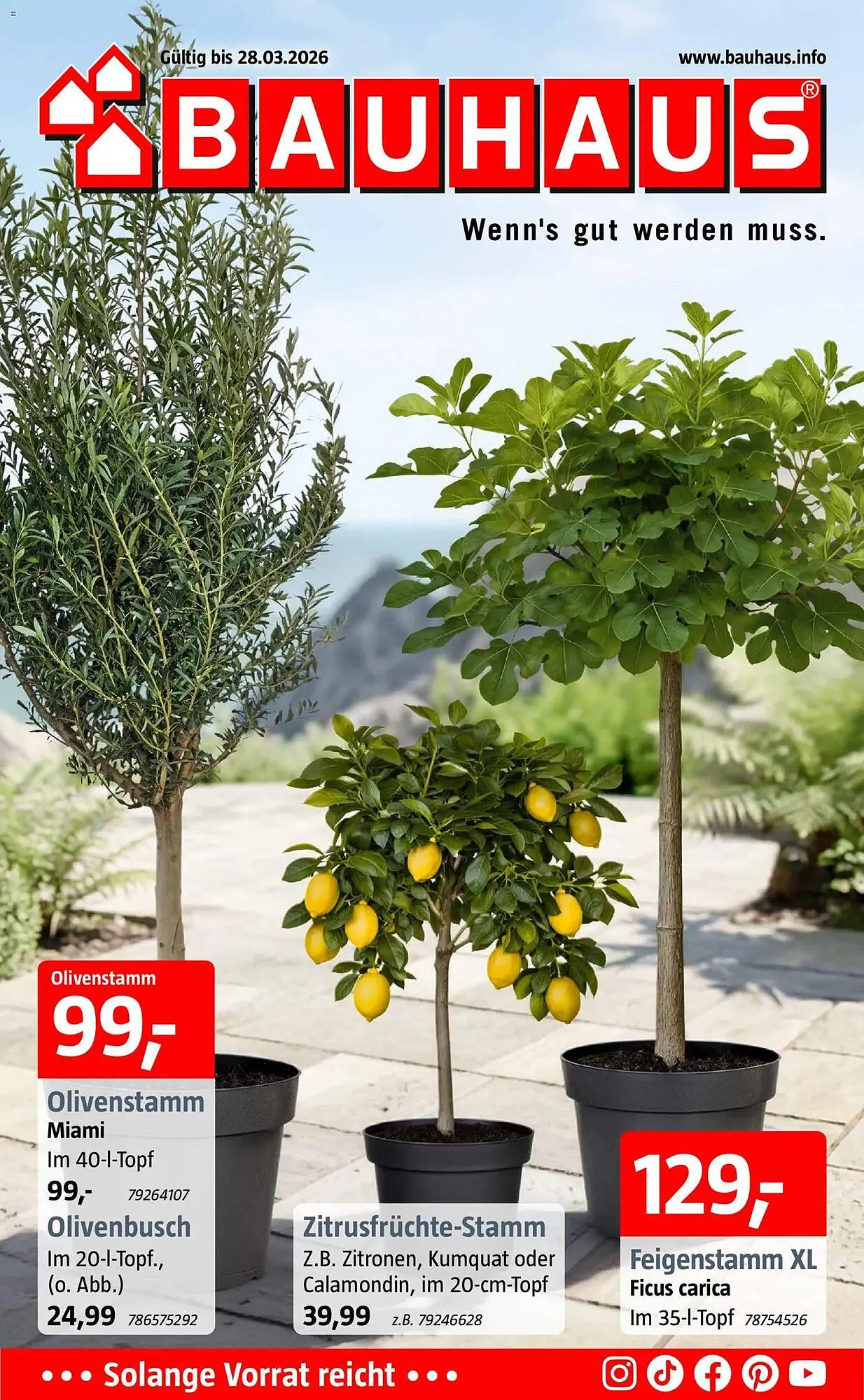 Bauhaus Prospekt von 16. März bis 28. März 2026 - Prospekt seite 1