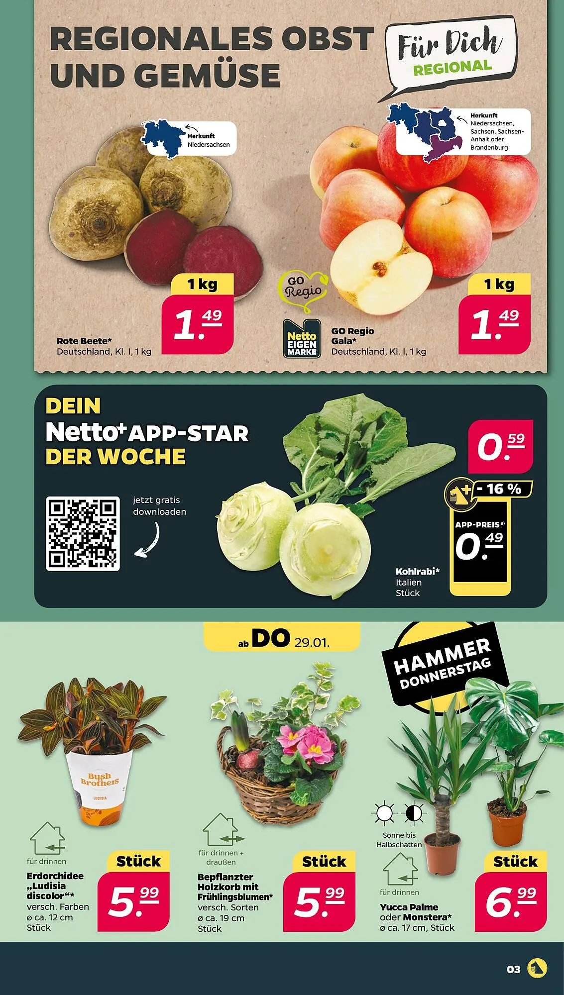 NETTO Prospekt von 26. Januar bis 31. Januar 2026 - Prospekt seite 3