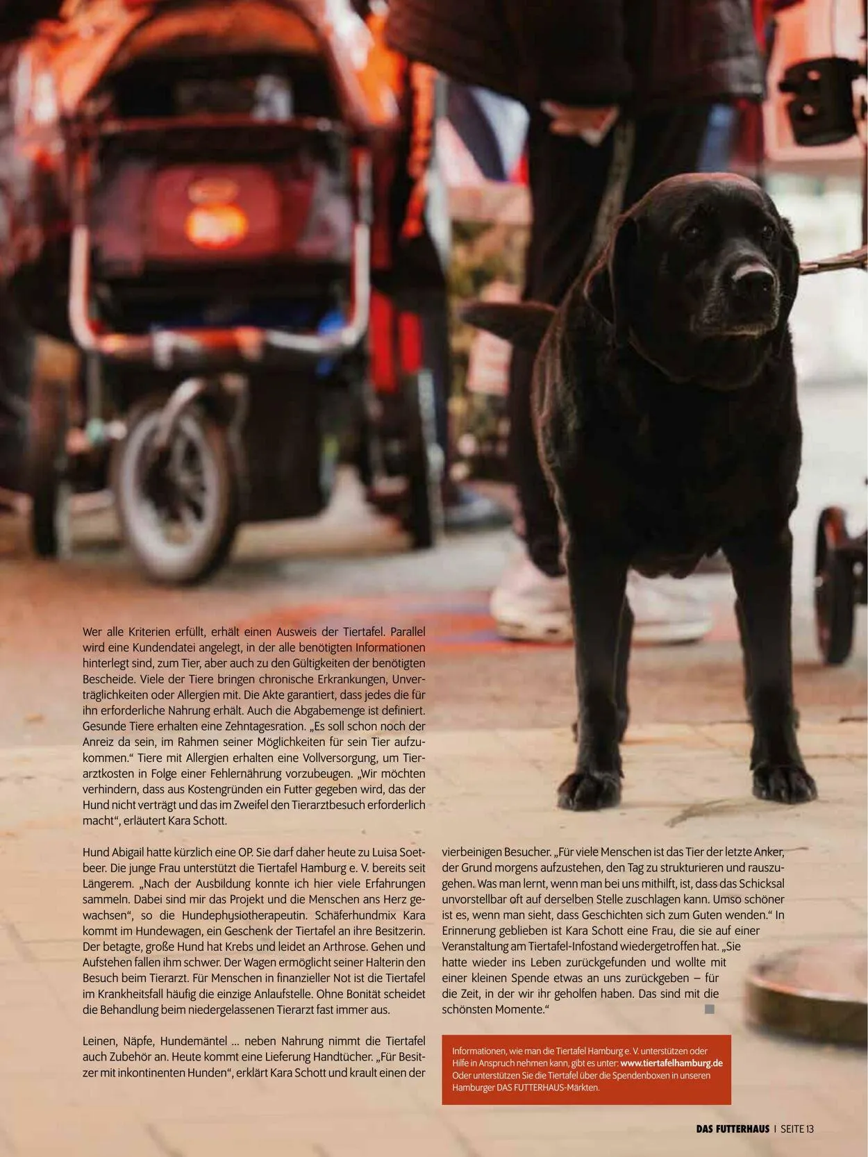 Futterhaus Aktueller Prospekt von 1. Dezember bis 31. Dezember 2025 - Prospekt seite 13