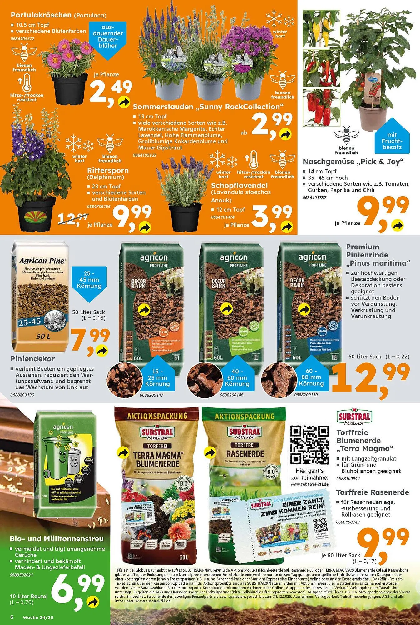 Globus Baumarkt Prospekt von 9. Juni bis 14. Juni 2025 - Prospekt seite 6