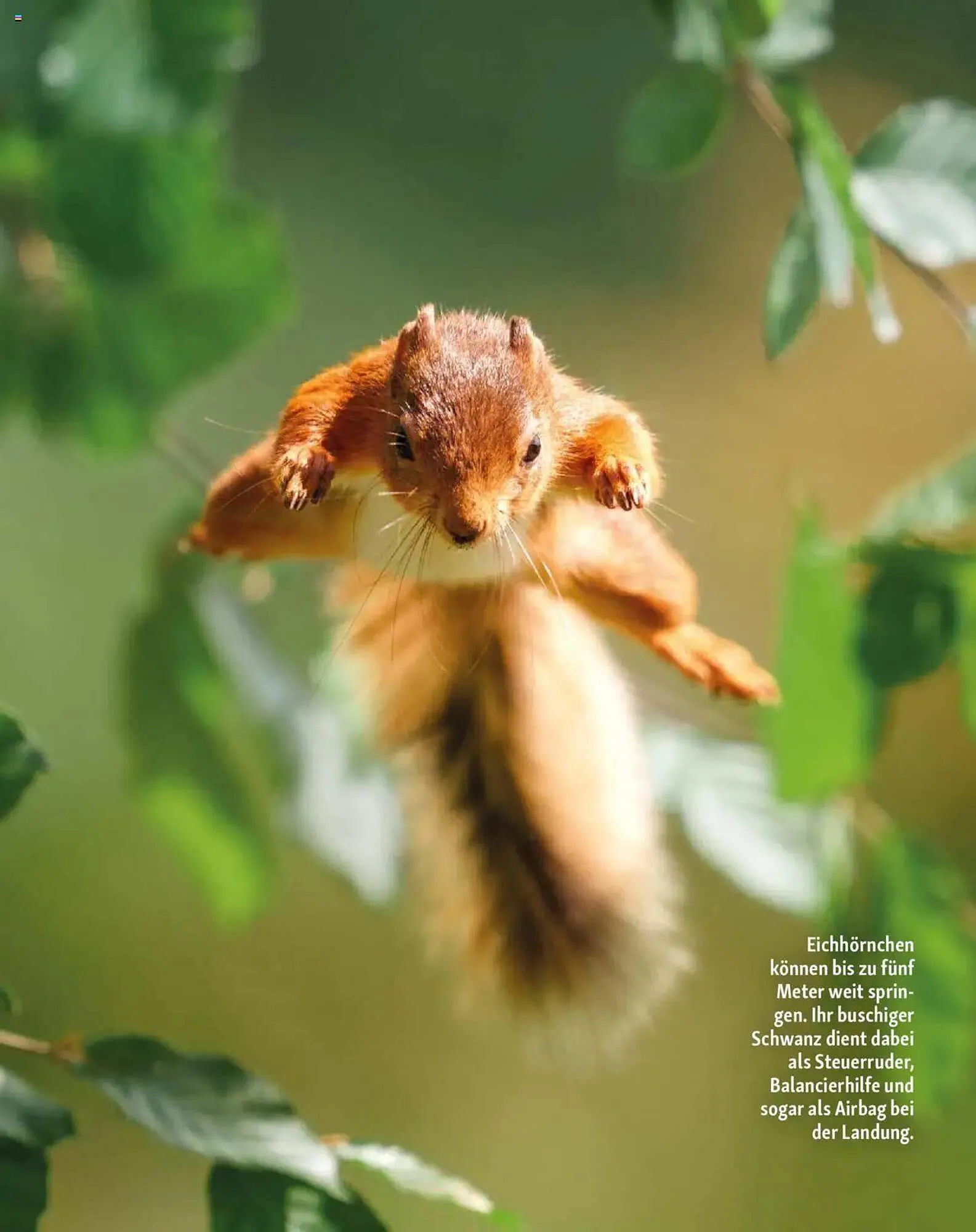 Fressnapf Magazin von 1. September bis 31. Oktober 2025 - Prospekt seite 12