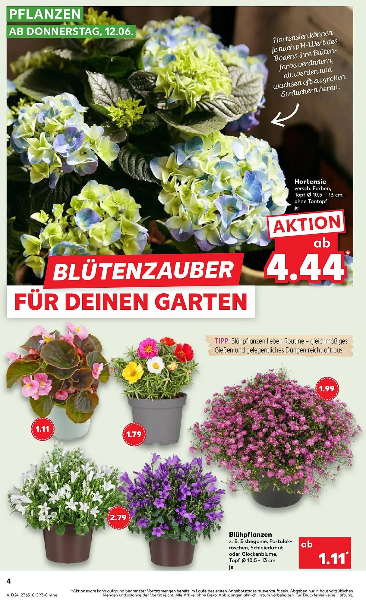 Kaufland Prospekt von 15. Juni bis 18. Juni 2025 - Prospekt seite 19