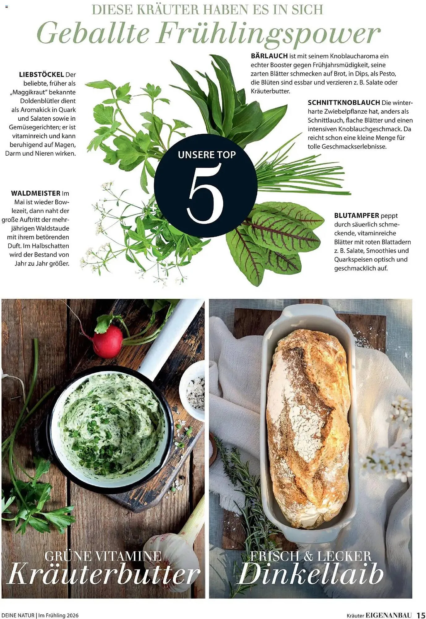 Dehner Prospekt von 4. März bis 31. Mai 2026 - Prospekt seite 15