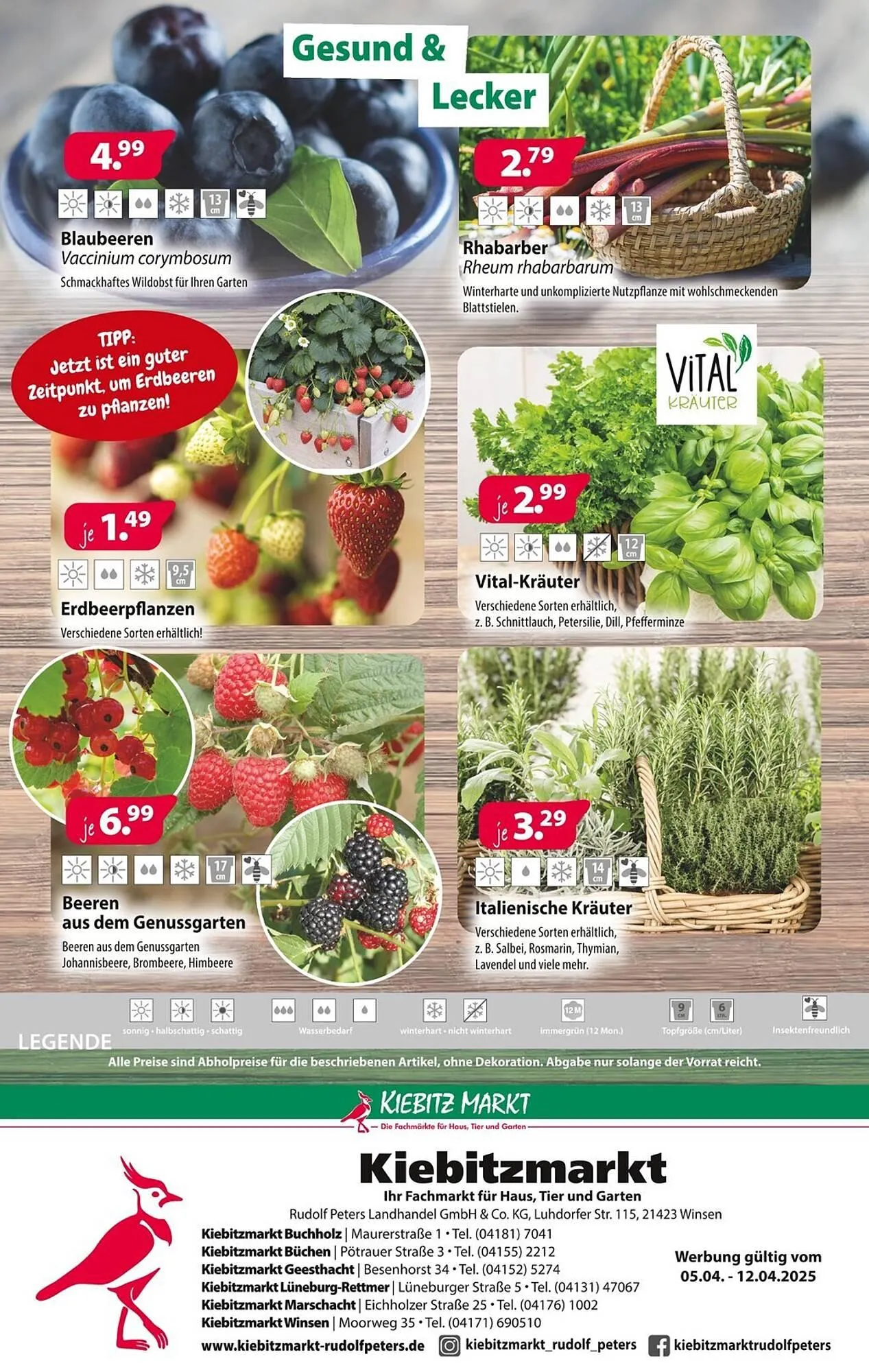 Kiebitzmarkt Prospekt von 5. April bis 12. April 2025 - Prospekt seite 12